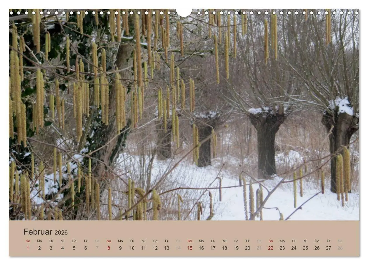 Bild: 9783516159233 | Krefelder Landschaften (Wandkalender 2026 DIN A3 quer), CALVENDO...