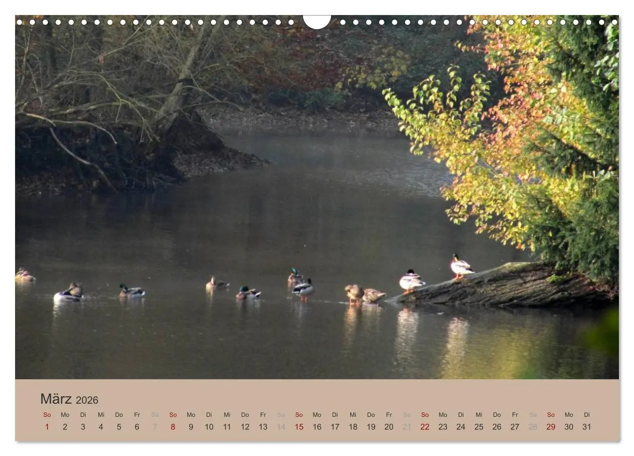 Bild: 9783516159233 | Krefelder Landschaften (Wandkalender 2026 DIN A3 quer), CALVENDO...