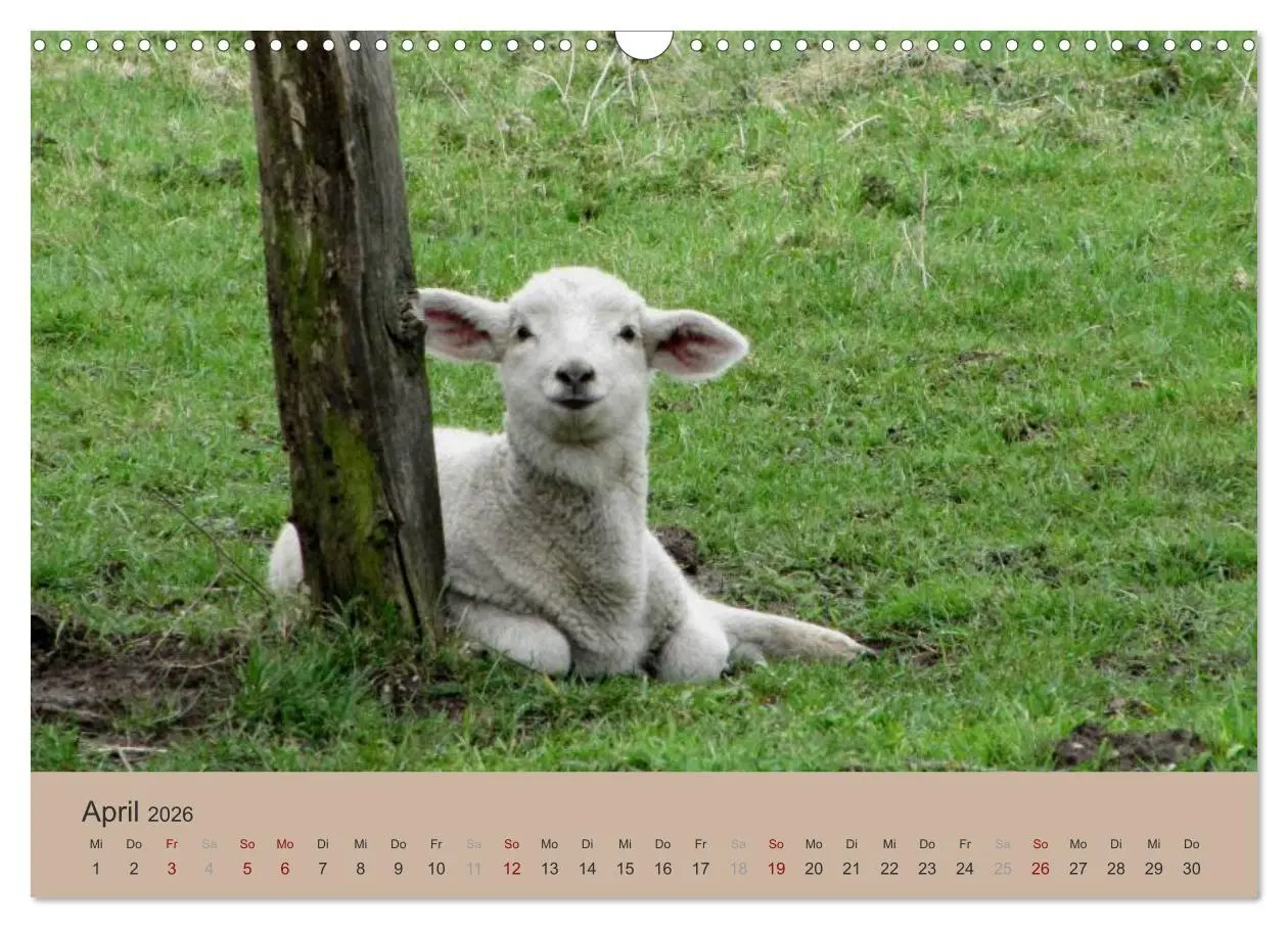 Bild: 9783516159233 | Krefelder Landschaften (Wandkalender 2026 DIN A3 quer), CALVENDO...