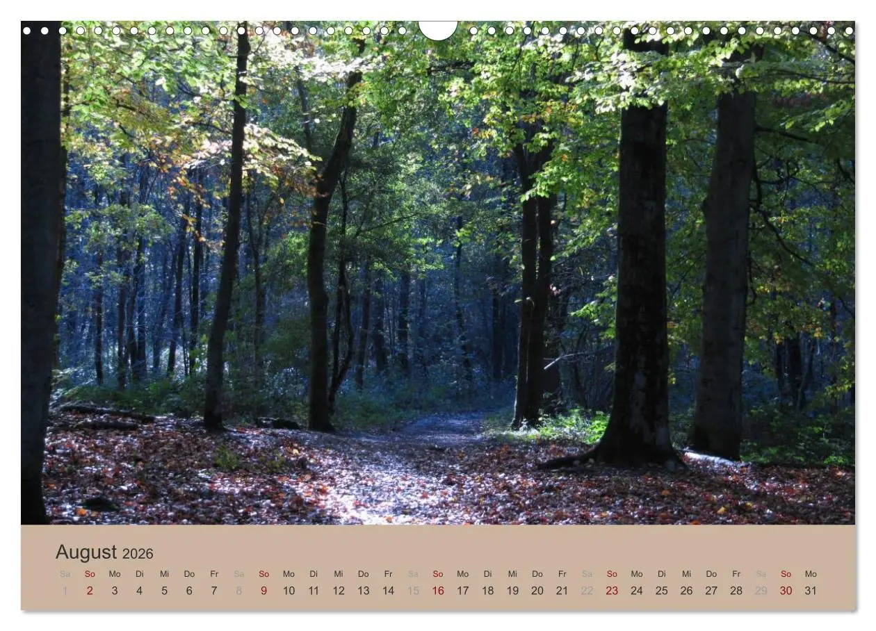 Bild: 9783516159233 | Krefelder Landschaften (Wandkalender 2026 DIN A3 quer), CALVENDO...