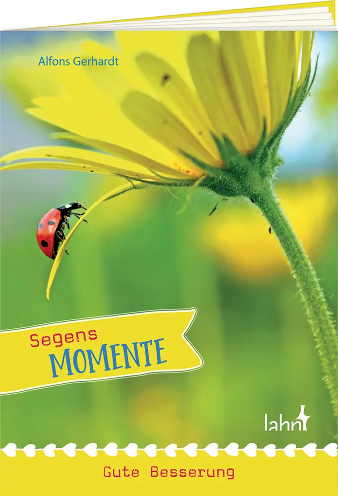 Cover: 9783784079233 | Segens-Momente Gute Besserung | Alfons Gerhardt | Broschüre | 18 S.
