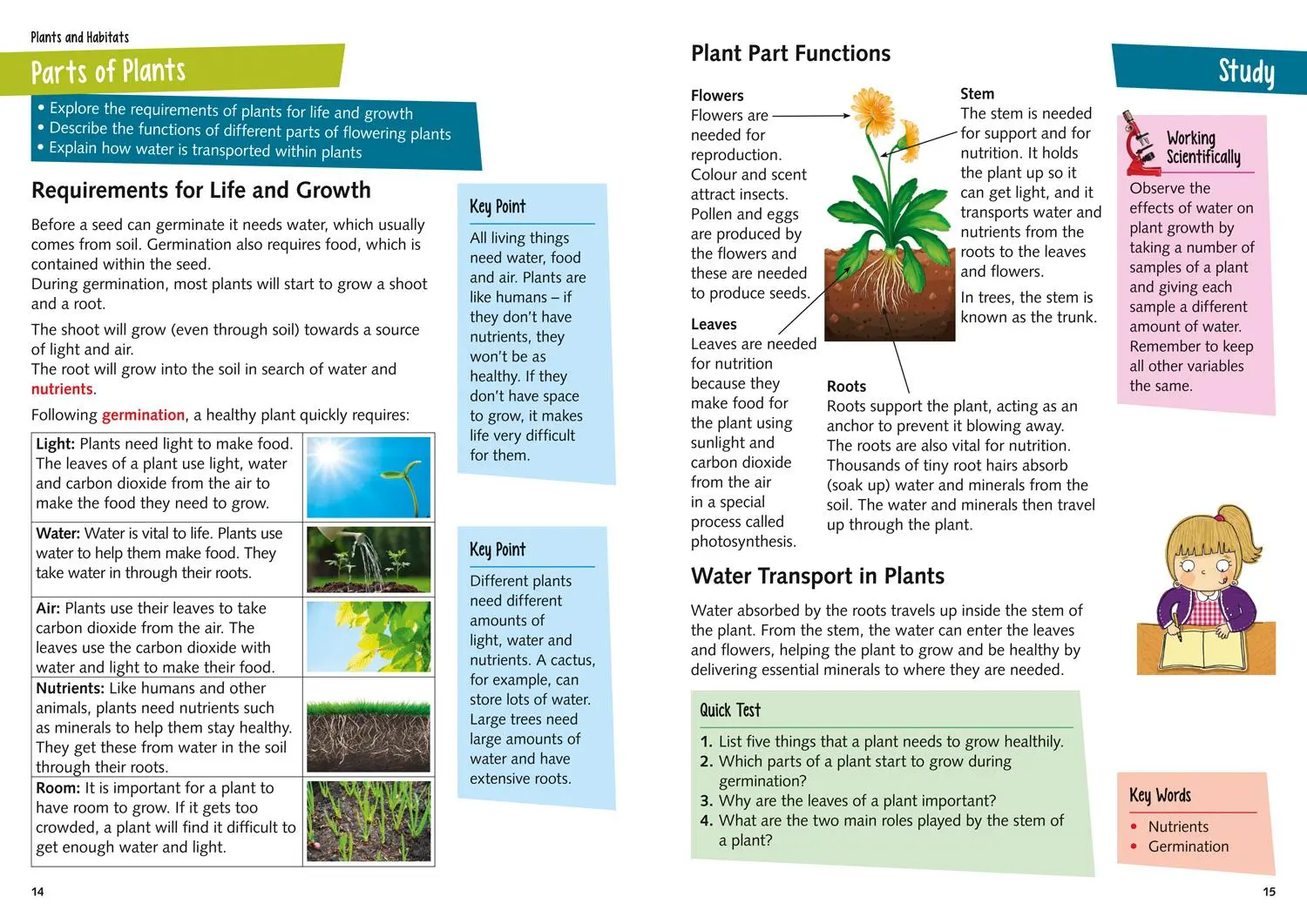 Bild: 9780008339333 | KS2 Science Study Book | For the 2025 Tests | Collins Ks2 | Buch