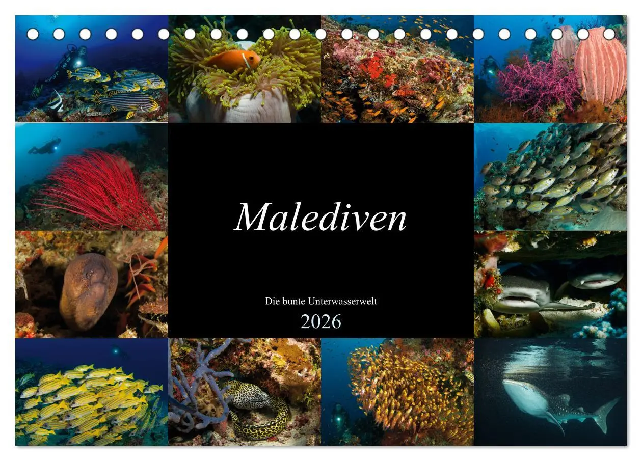 Cover: 9783457749333 | Malediven - Die bunte Unterwasserwelt (Tischkalender 2026 DIN A5...