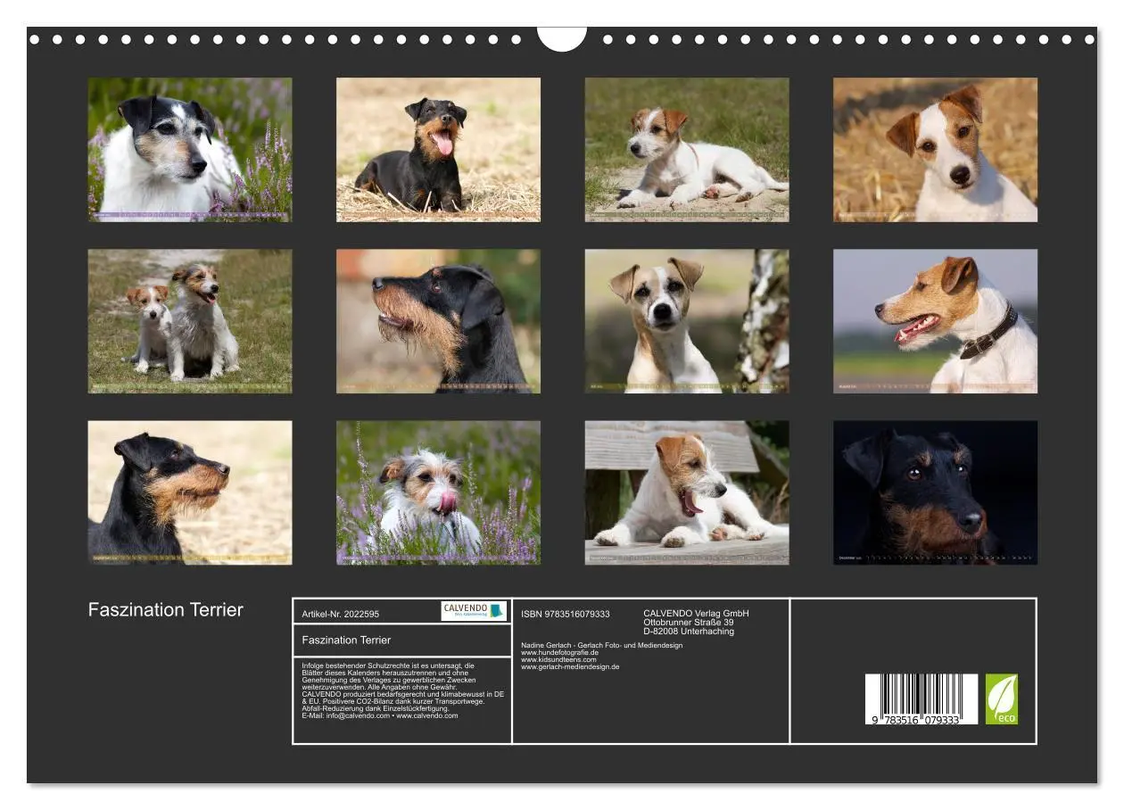 Bild: 9783516079333 | Faszination Terrier (Wandkalender 2026 DIN A3 quer), CALVENDO...