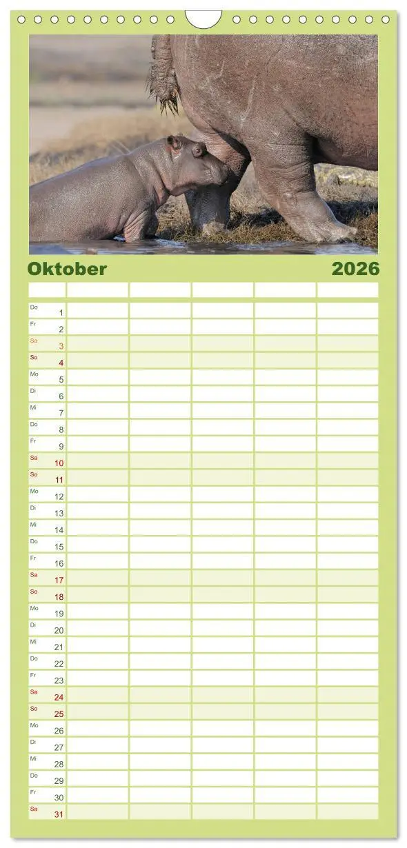 Bild: 9783516519433 | Familienplaner 2026 - Flusspferde Magie des Augenblicks - Hippos in...