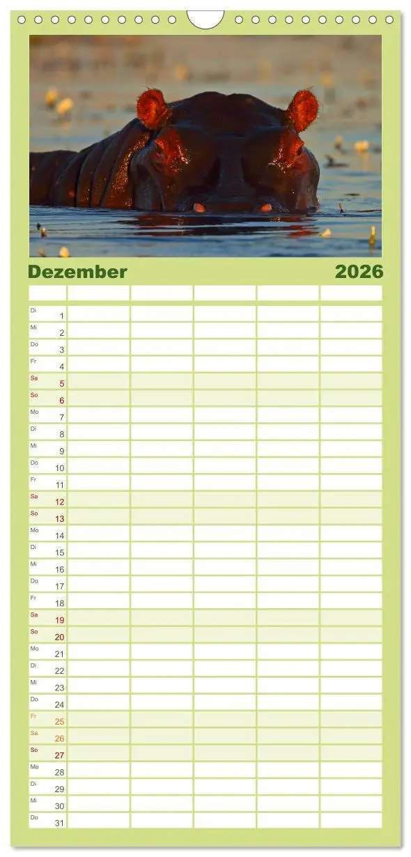 Bild: 9783516519433 | Familienplaner 2026 - Flusspferde Magie des Augenblicks - Hippos in...