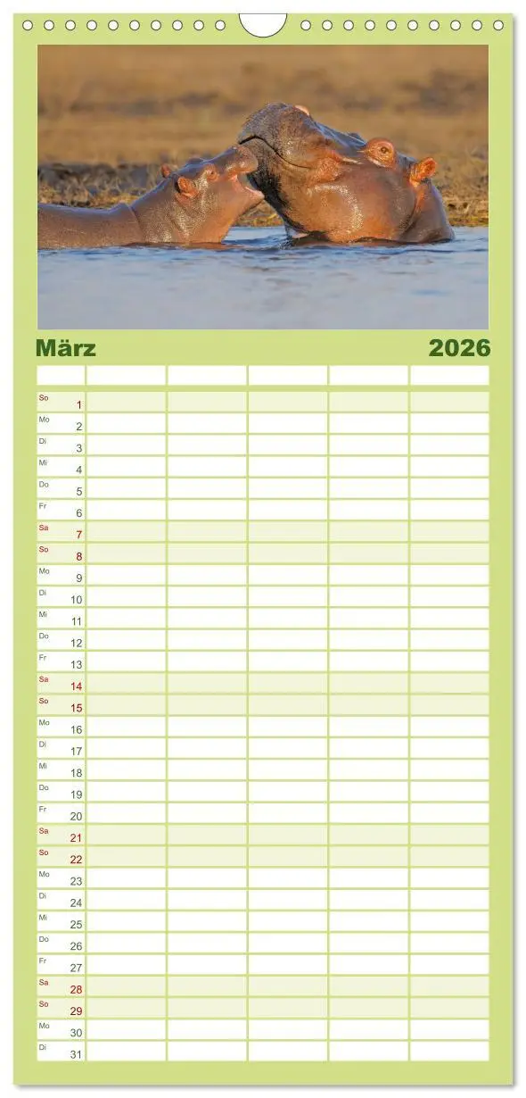 Bild: 9783516519433 | Familienplaner 2026 - Flusspferde Magie des Augenblicks - Hippos in...