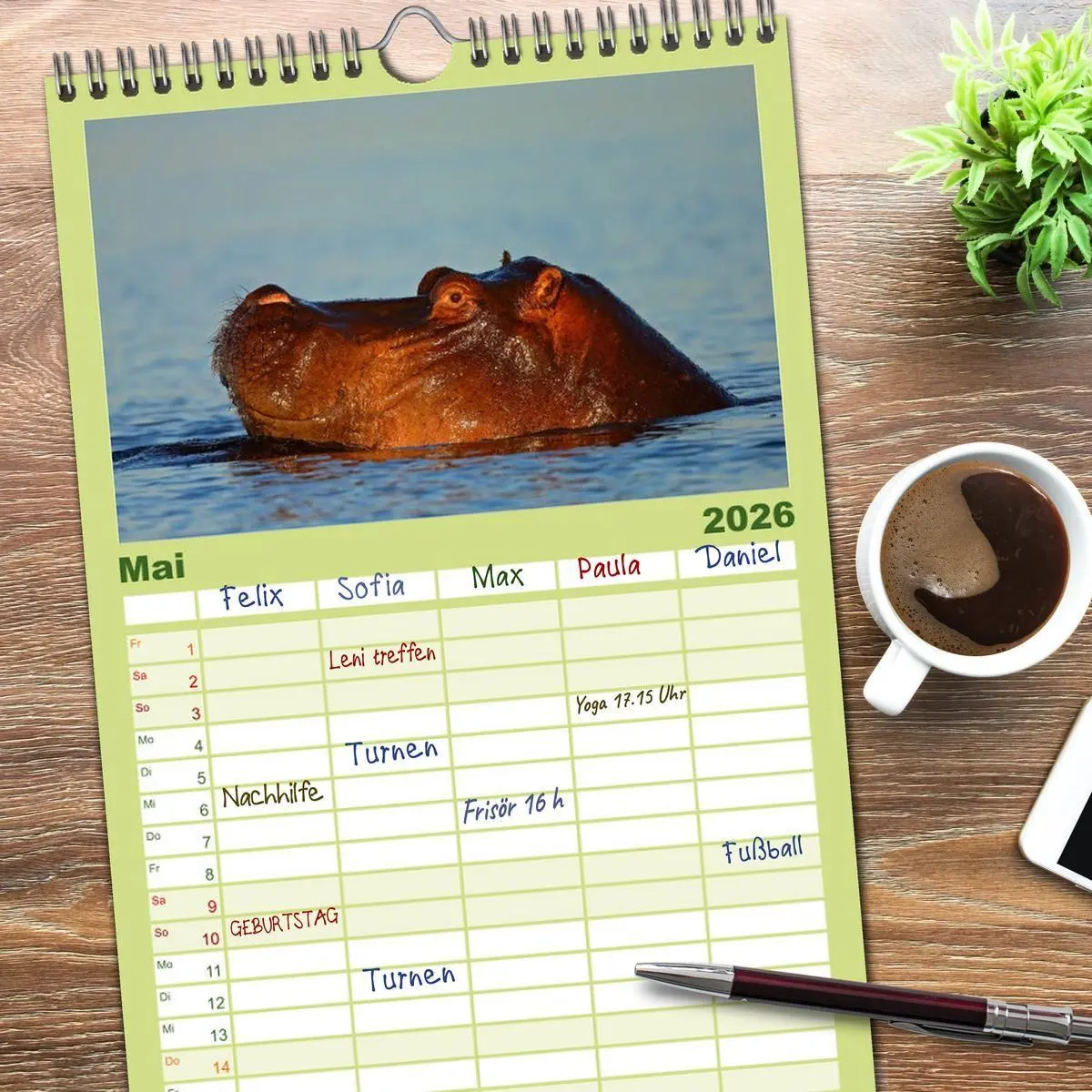 Bild: 9783516519433 | Familienplaner 2026 - Flusspferde Magie des Augenblicks - Hippos in...