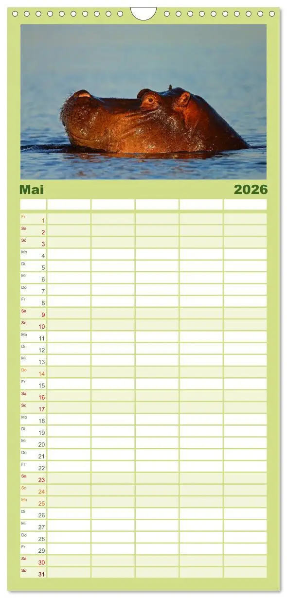 Bild: 9783516519433 | Familienplaner 2026 - Flusspferde Magie des Augenblicks - Hippos in...