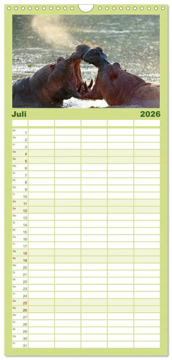 Bild: 9783516519433 | Familienplaner 2026 - Flusspferde Magie des Augenblicks - Hippos in...