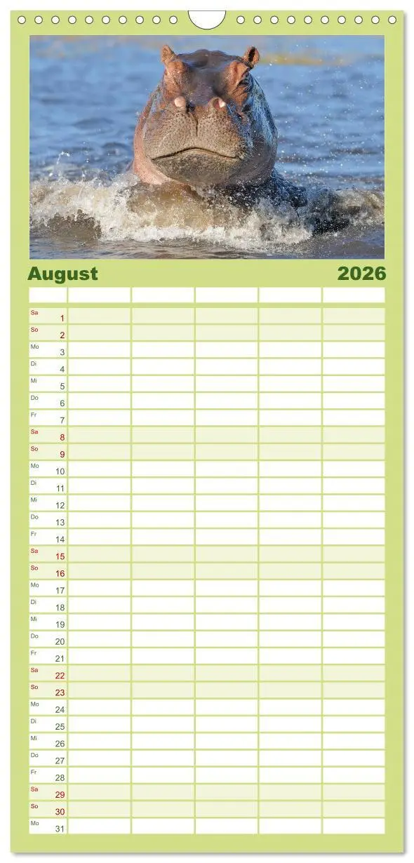 Bild: 9783516519433 | Familienplaner 2026 - Flusspferde Magie des Augenblicks - Hippos in...