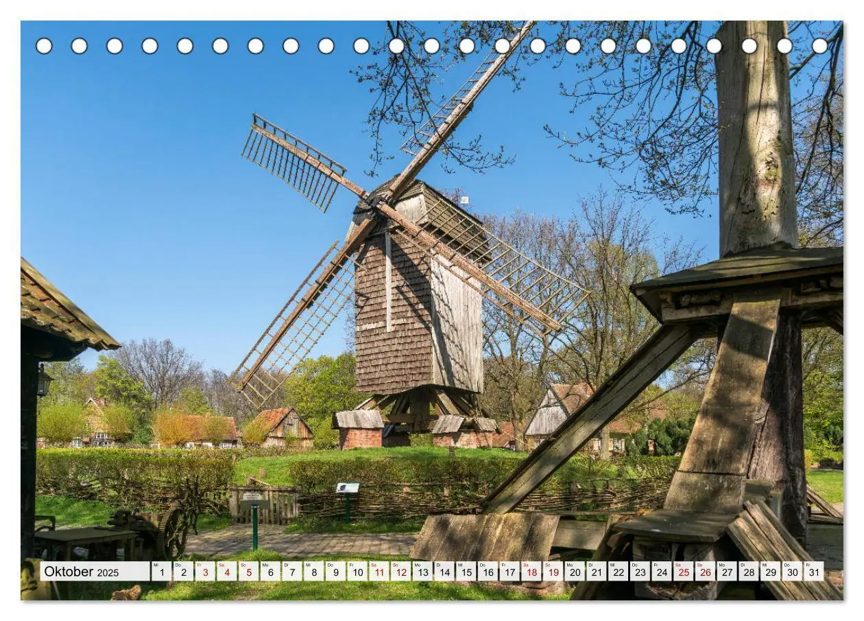 Bild: 9783435259533 | Lebenswertes Münster (Tischkalender 2025 DIN A5 quer), CALVENDO...