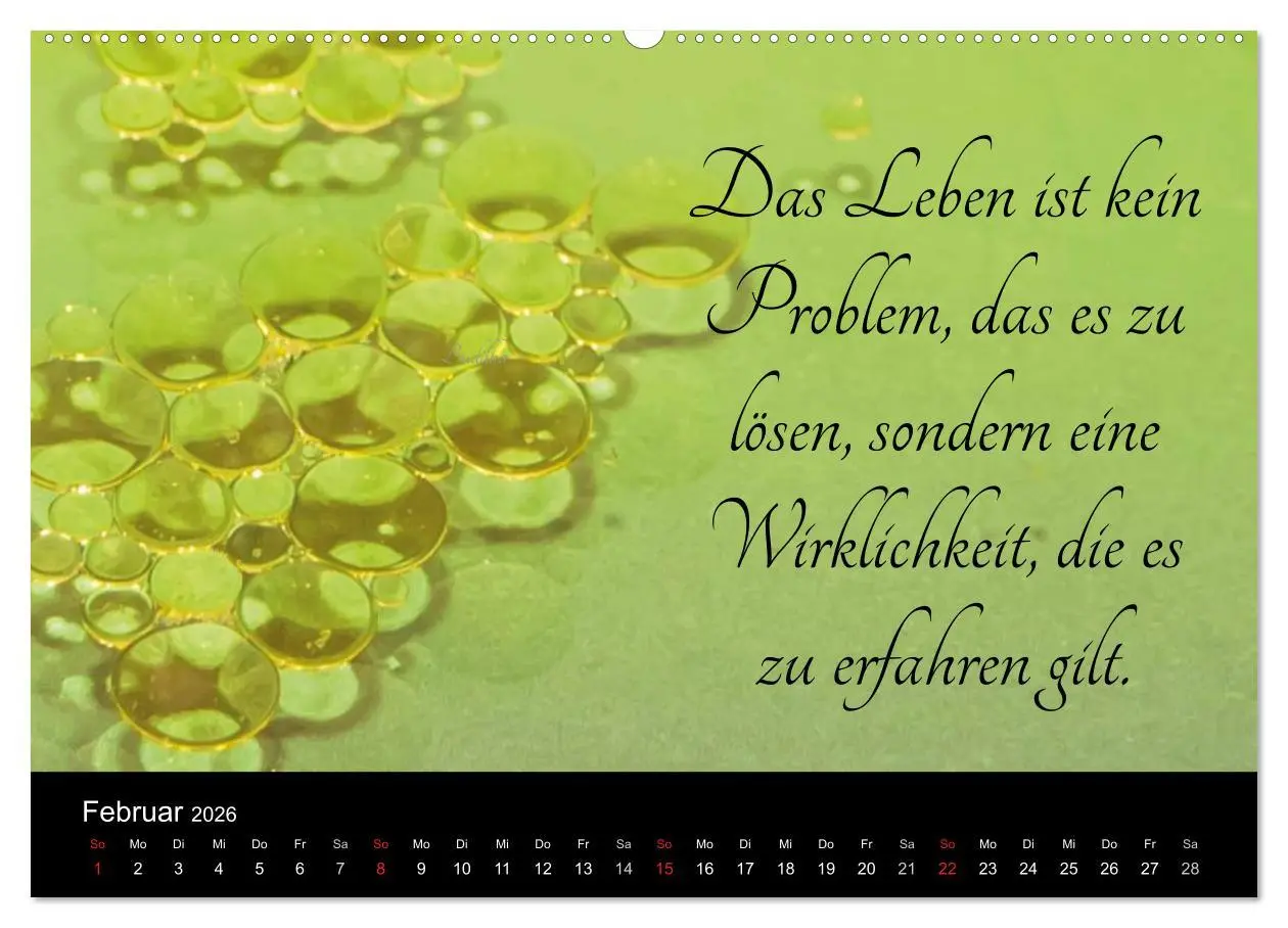 Bild: 9783457969533 | Mit Sprüchen und Weisheiten durch´s Jahr (hochwertiger Premium...