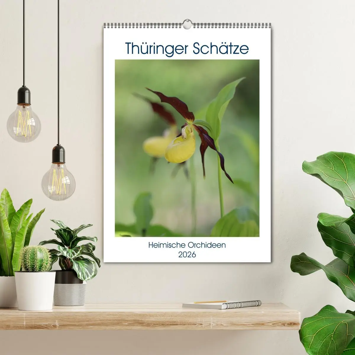 Bild: 9783516369533 | Thüringer Schätze (Wandkalender 2026 DIN A2 hoch), CALVENDO...