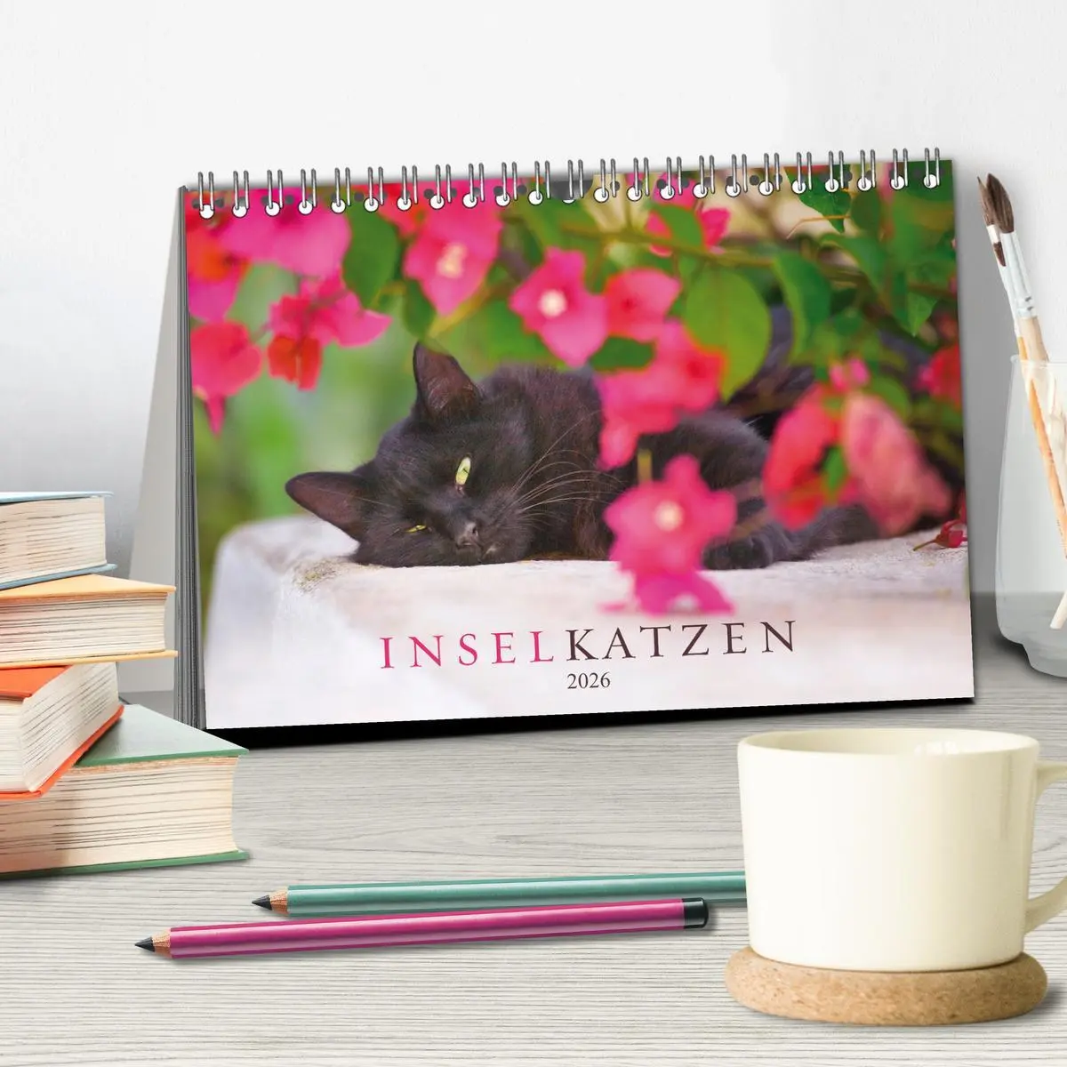 Bild: 9783457569733 | Inselkatzen (Tischkalender 2026 DIN A5 quer), CALVENDO Monatskalender