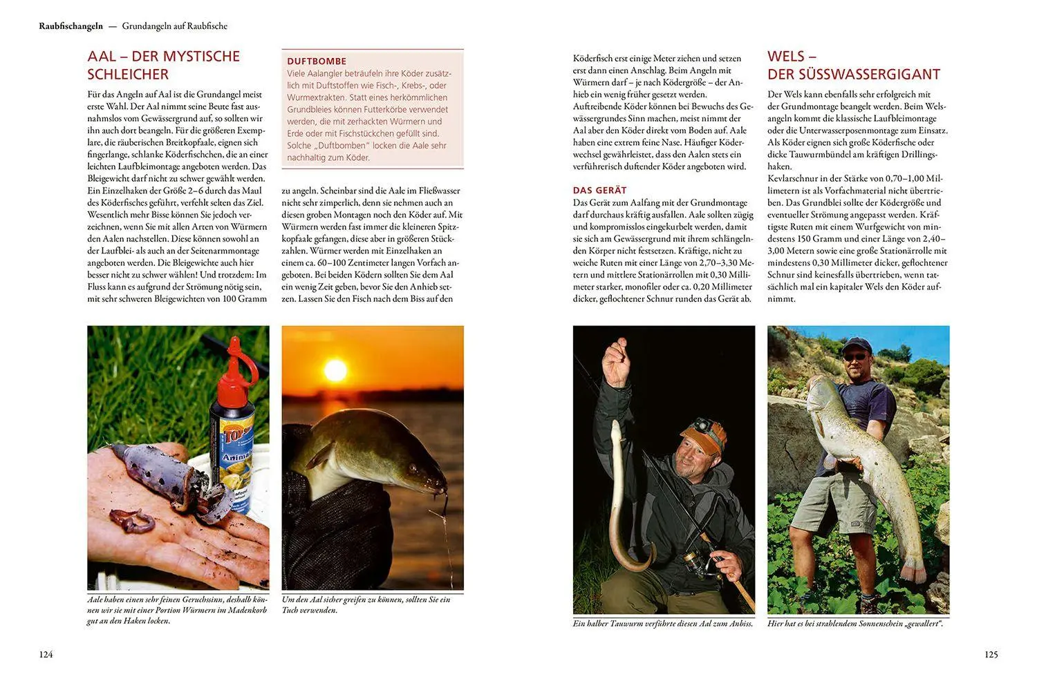 Bild: 9783440179833 | Kosmos Praxishandbuch Angeln | Florian Läufer | Buch | 208 S. | 2024