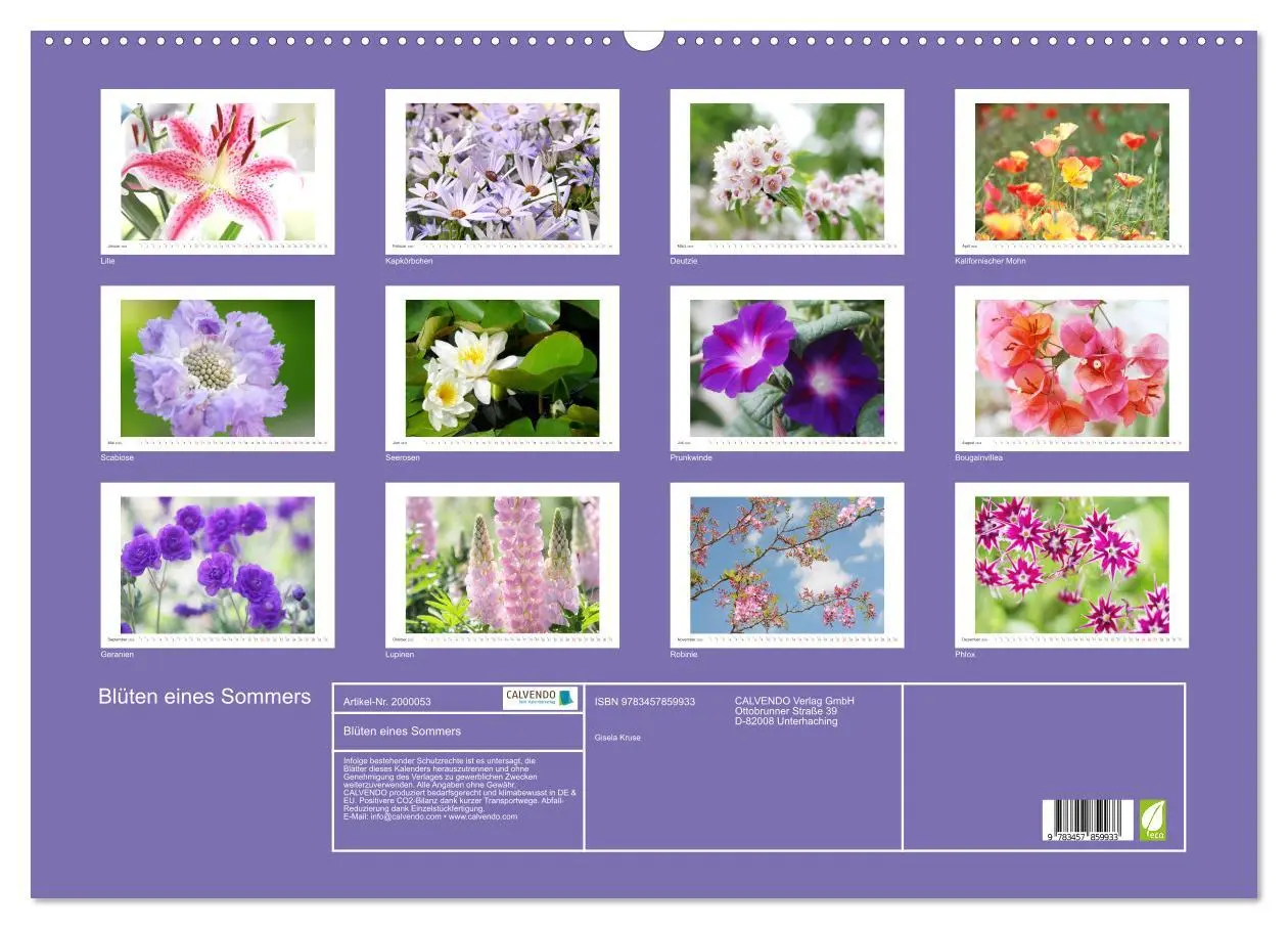 Bild: 9783457859933 | Blüten eines Sommers (Wandkalender 2026 DIN A2 quer), CALVENDO...