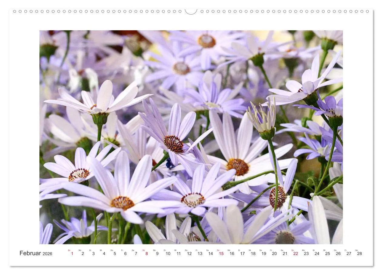 Bild: 9783457859933 | Blüten eines Sommers (Wandkalender 2026 DIN A2 quer), CALVENDO...