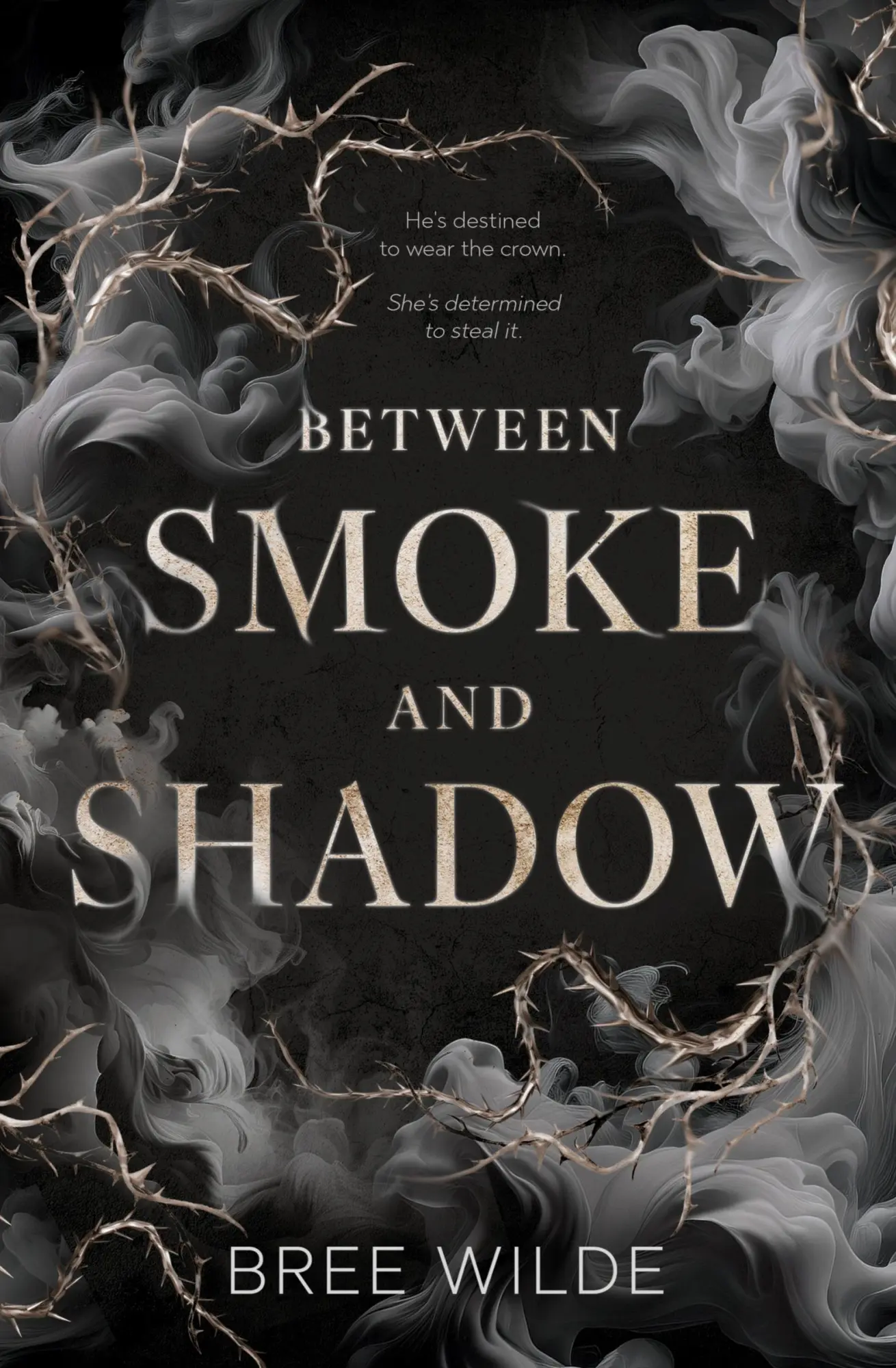 Cover: 9781945860034 | Between Smoke and Shadow | Bree Wilde | Taschenbuch | Englisch | 2025
