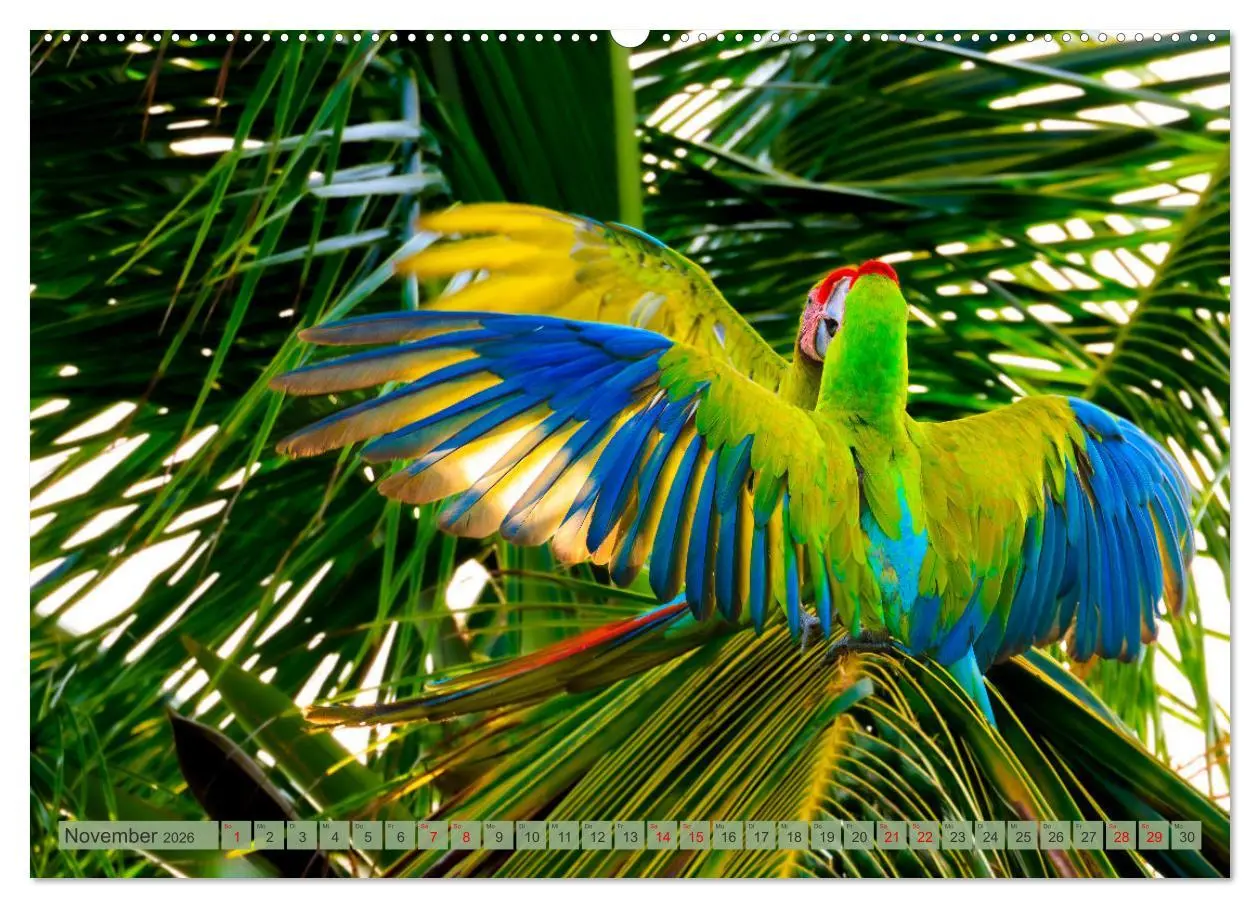Bild: 9783457280034 | Tropenparadies zwischen Ozeanen Costa Rica (Wandkalender 2026 DIN...