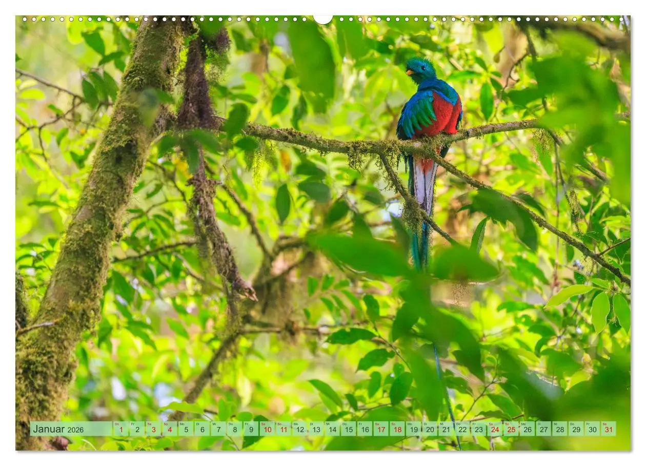 Bild: 9783457280034 | Tropenparadies zwischen Ozeanen Costa Rica (Wandkalender 2026 DIN...