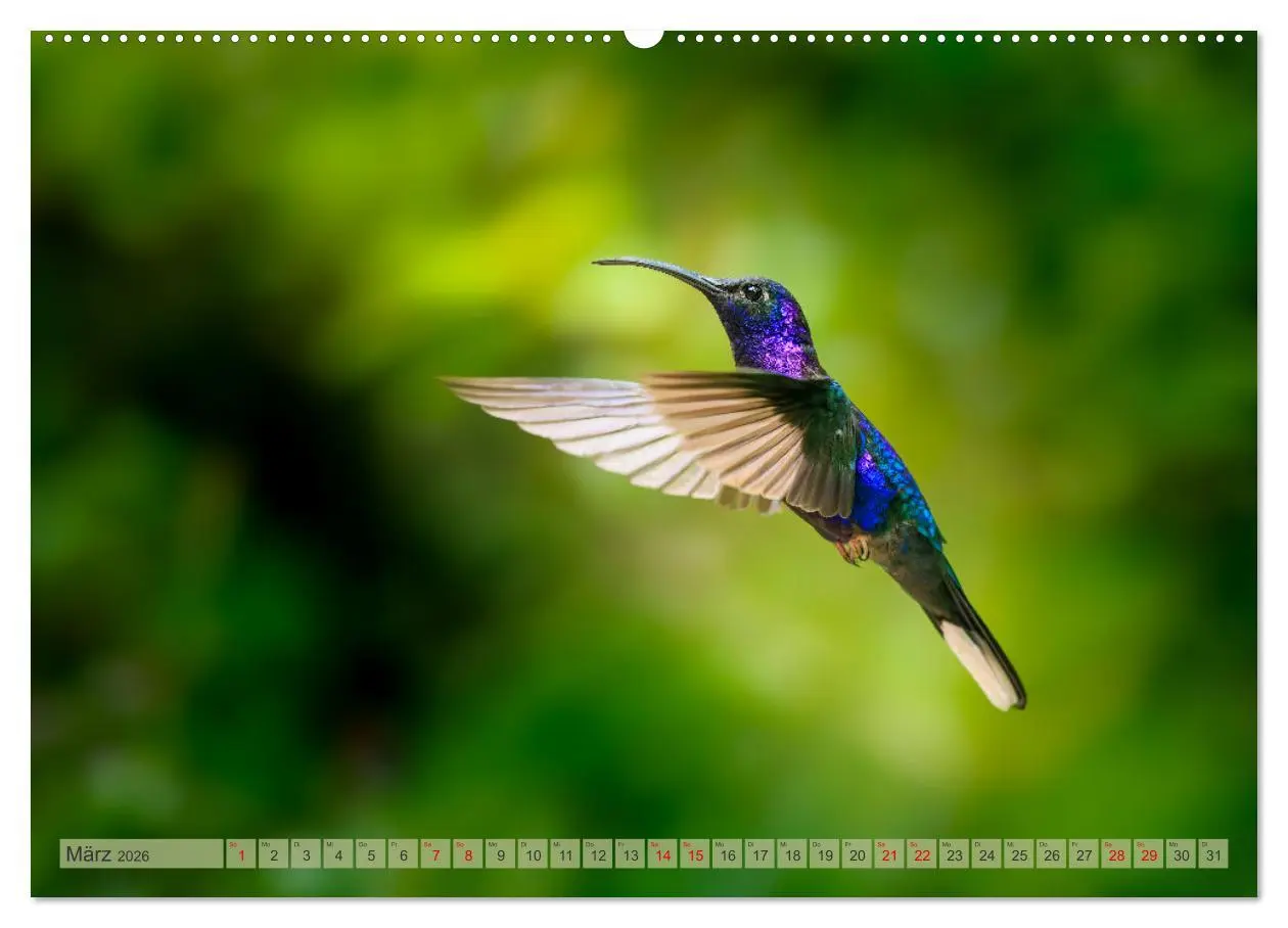 Bild: 9783457280034 | Tropenparadies zwischen Ozeanen Costa Rica (Wandkalender 2026 DIN...