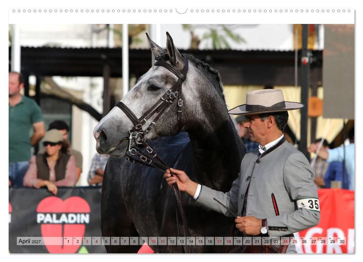 Bild: 9783569840034 | Portugal - Pferdefestival von Golegã (Wandkalender 2027 DIN A2...
