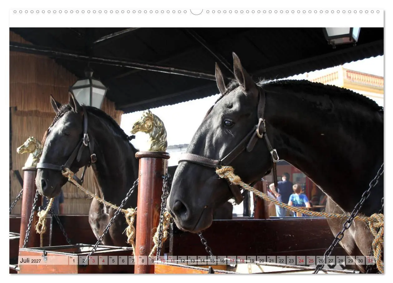 Bild: 9783569840034 | Portugal - Pferdefestival von Golegã (Wandkalender 2027 DIN A2...