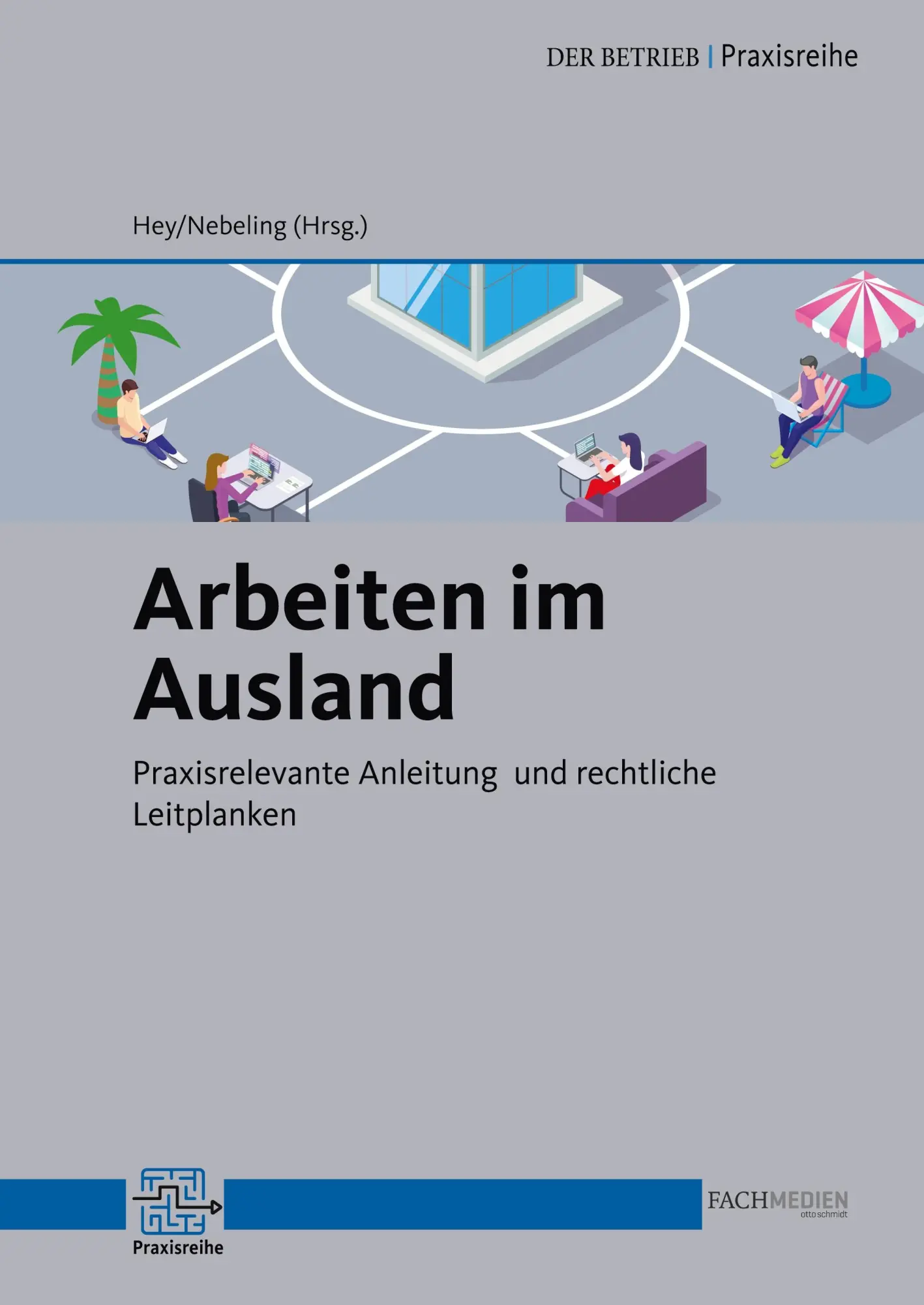 Cover: 9783910460034 | Arbeiten im Ausland | Thomas Hey (u. a.) | Taschenbuch | 336 S. | 2024
