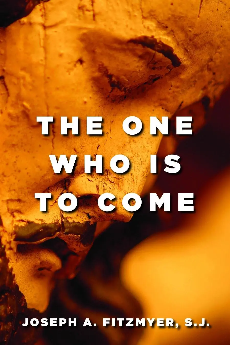 Cover: 9780802840134 | The One Who Is to Come | Joseph A. Fitzmyer | Taschenbuch | Englisch