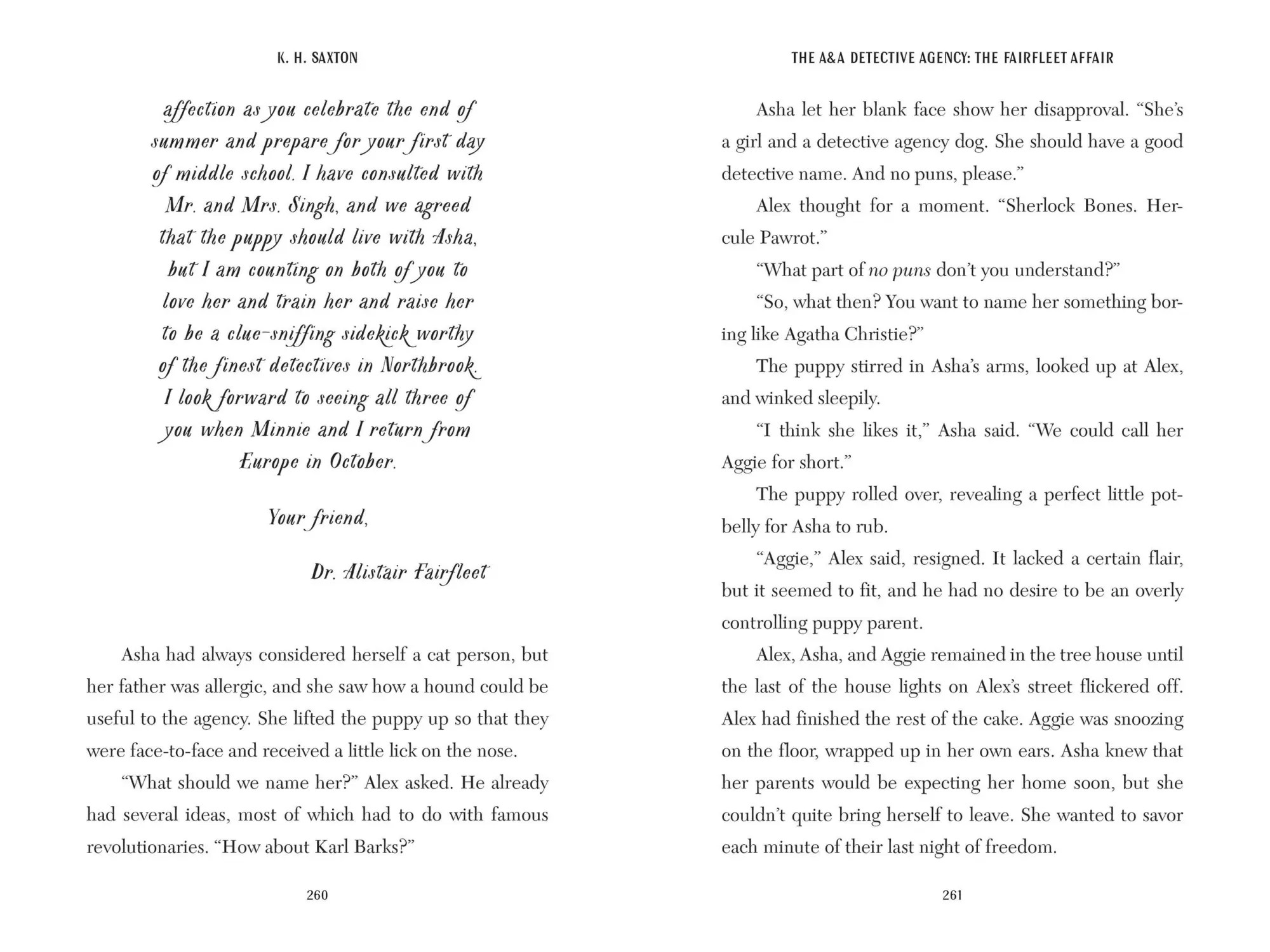 Bild: 9781454950134 | The A&amp;A Detective Agency: The Fairfleet Affair | K. Saxton H. | Buch