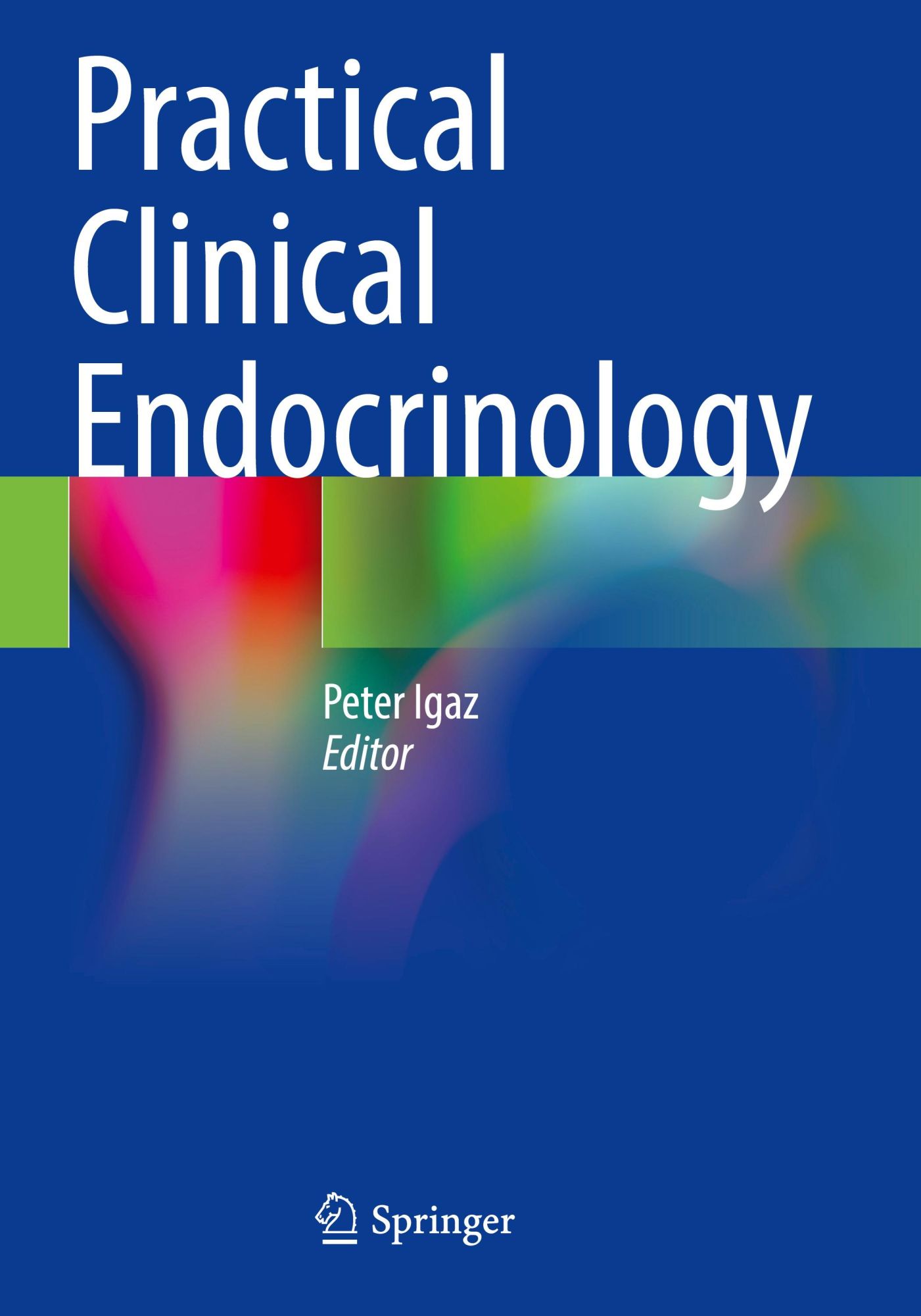 Cover: 9783030620134 | Practical Clinical Endocrinology | Peter Igaz | Taschenbuch | xxiv