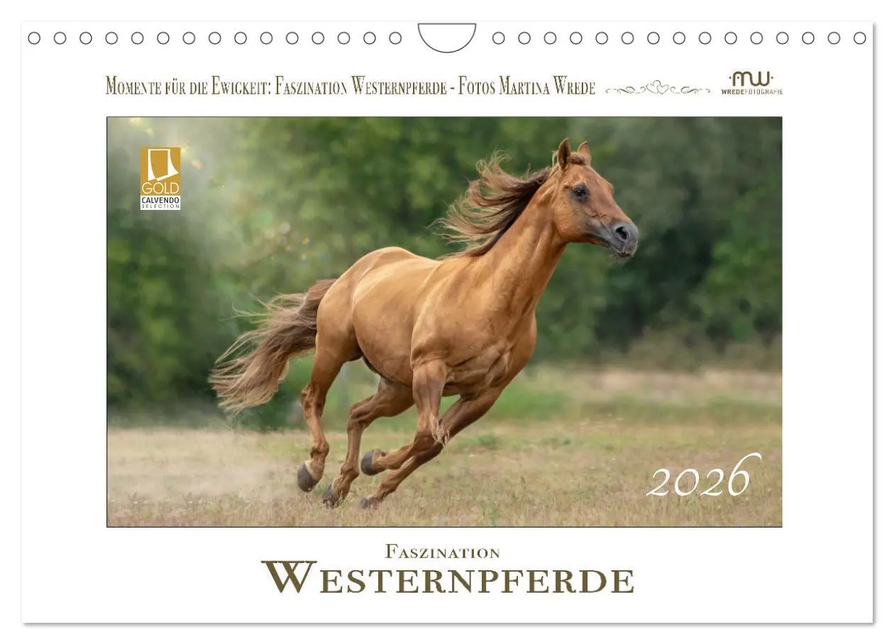 Cover: 9783457650134 | Faszination Westernpferde (Wandkalender 2026 DIN A4 quer), CALVENDO...