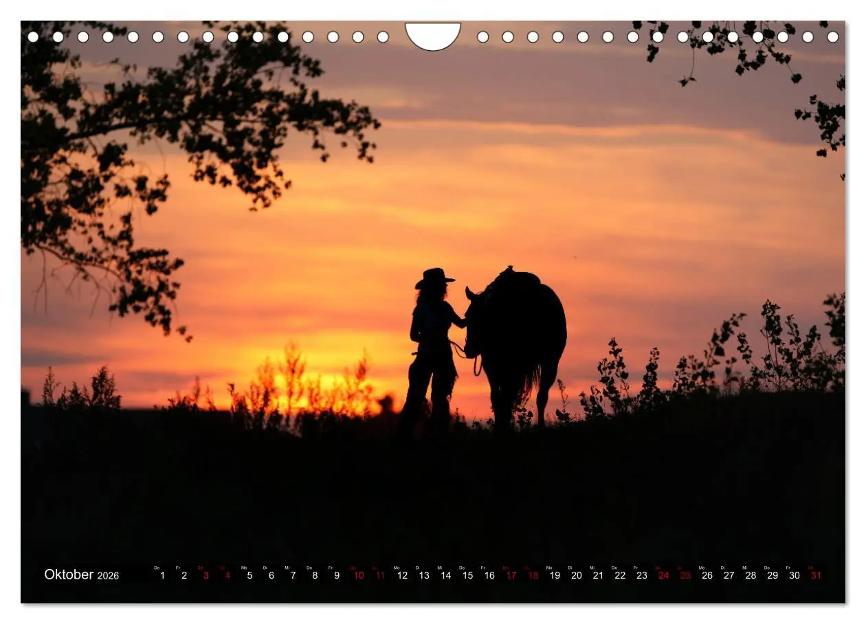 Bild: 9783457650134 | Faszination Westernpferde (Wandkalender 2026 DIN A4 quer), CALVENDO...