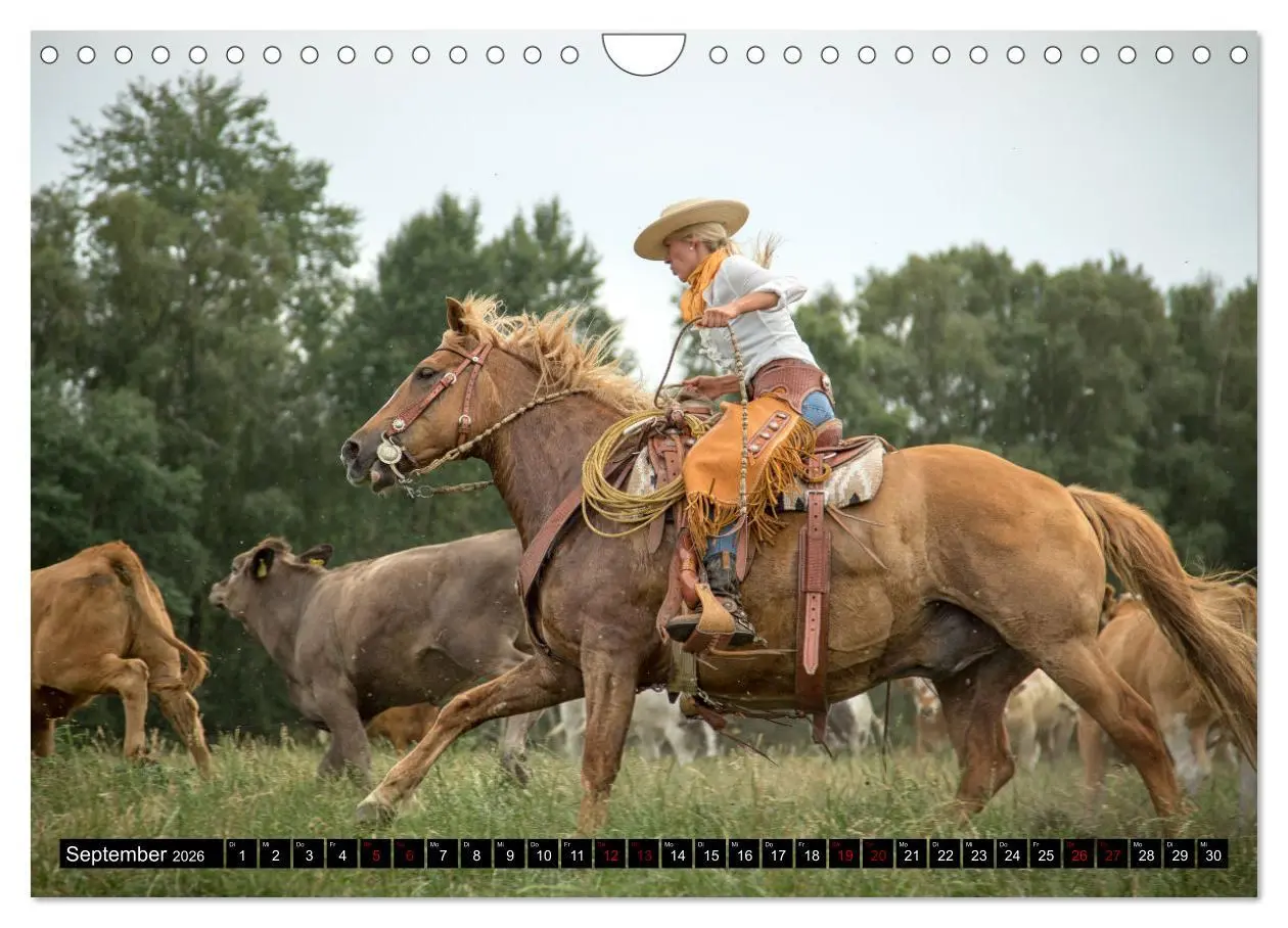 Bild: 9783457650134 | Faszination Westernpferde (Wandkalender 2026 DIN A4 quer), CALVENDO...