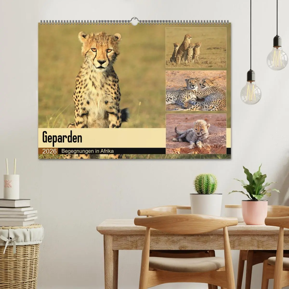 Bild: 9783516050134 | Geparden - Begegnungen in Afrika (Wandkalender 2026 DIN A2 quer),...