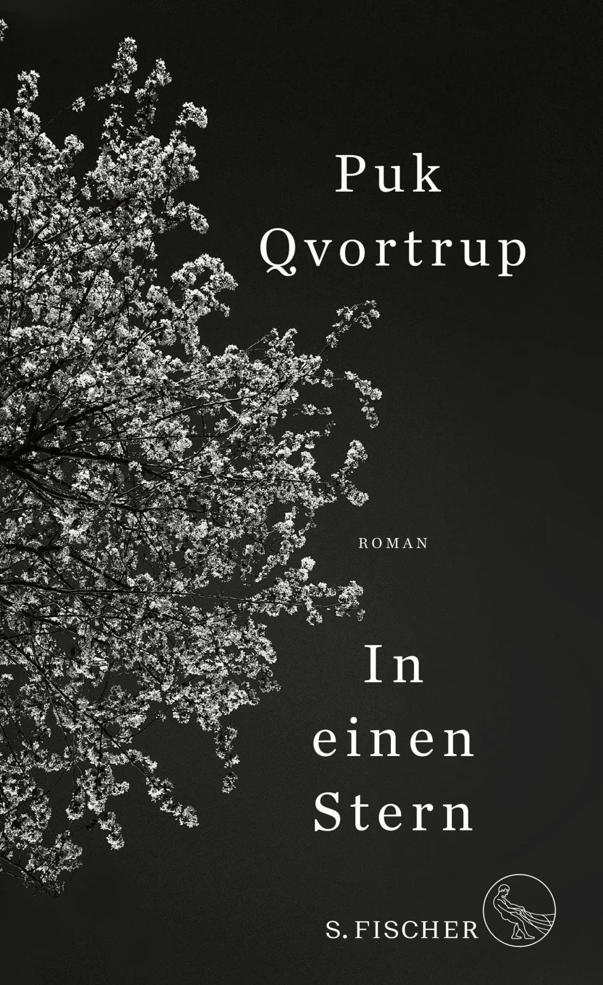 Cover: 9783103970234 | In einen Stern | Roman | Puk Qvortrup | Buch | 240 S. | Deutsch | 2021