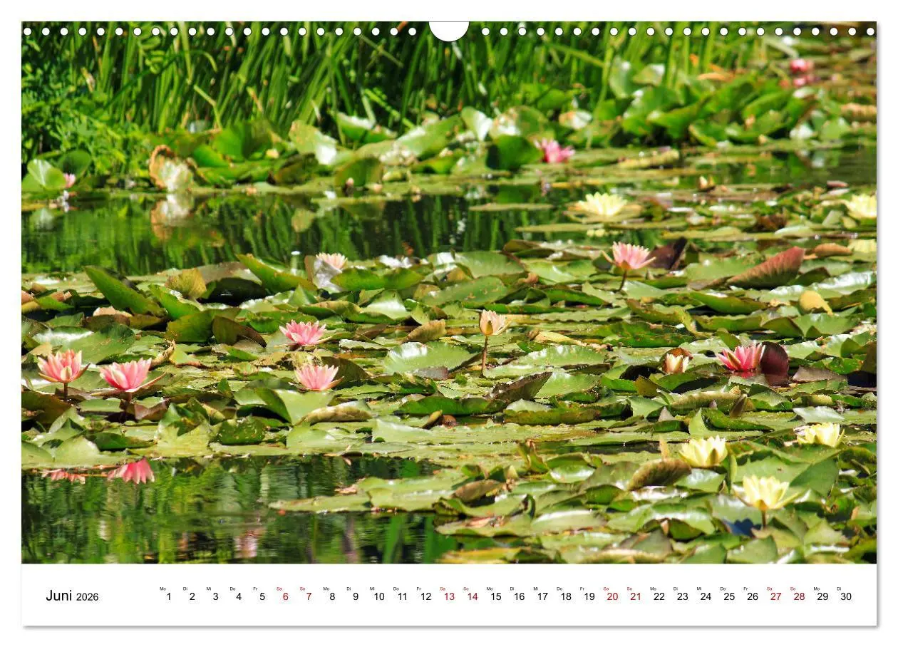 Bild: 9783457640234 | Normandie - zwischen Land und Meer (Wandkalender 2026 DIN A3 quer),...
