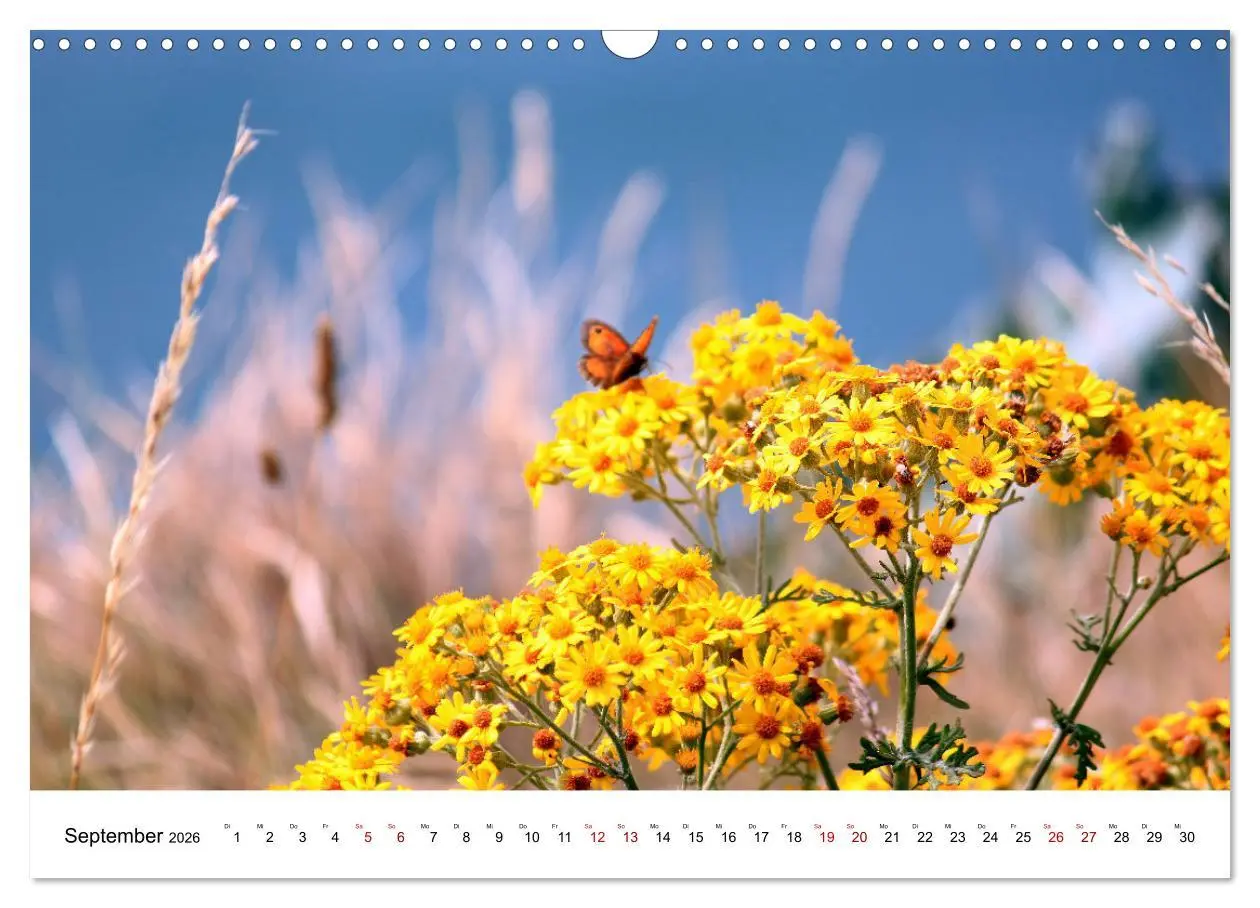 Bild: 9783457640234 | Normandie - zwischen Land und Meer (Wandkalender 2026 DIN A3 quer),...