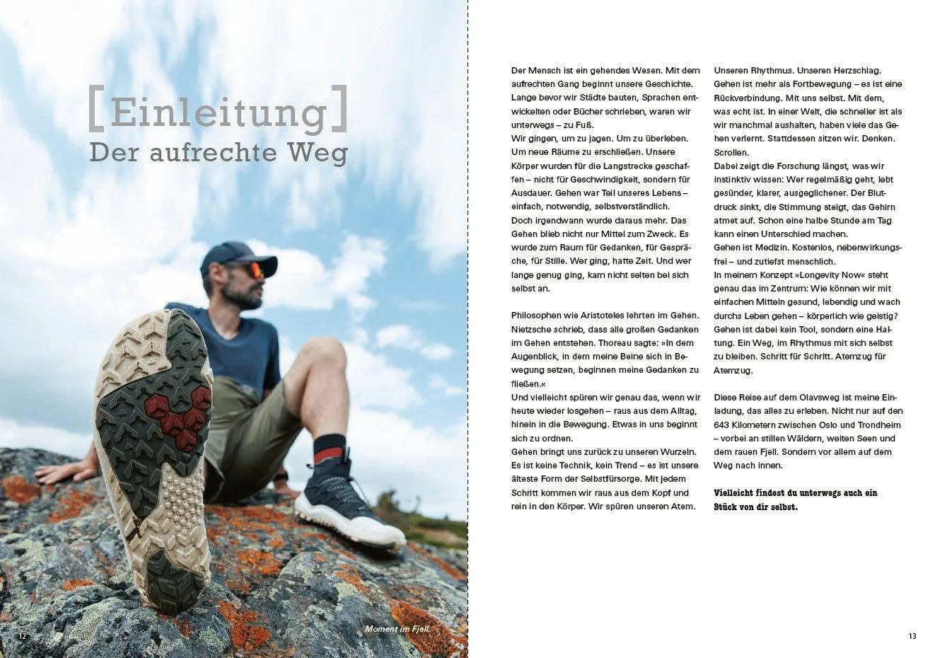 Bild: 9783613510234 | outdoor Reise - Wandern in Norwegen: Unterwegs auf dem Olavsweg | Buch