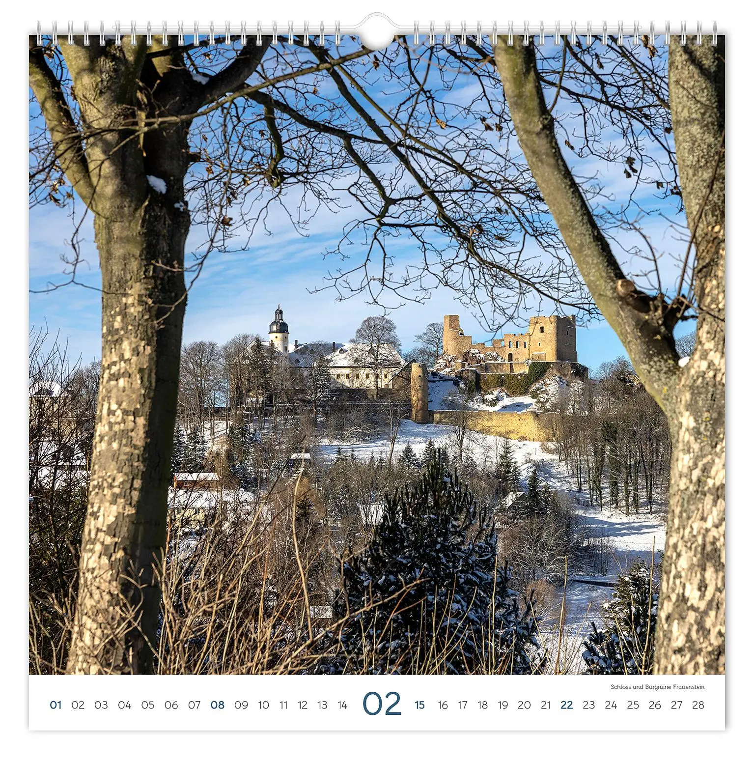 Bild: 9783910680234 | Kalender Burgen und Schlösser Sachsen 2026 | Peter Schubert | Kalender