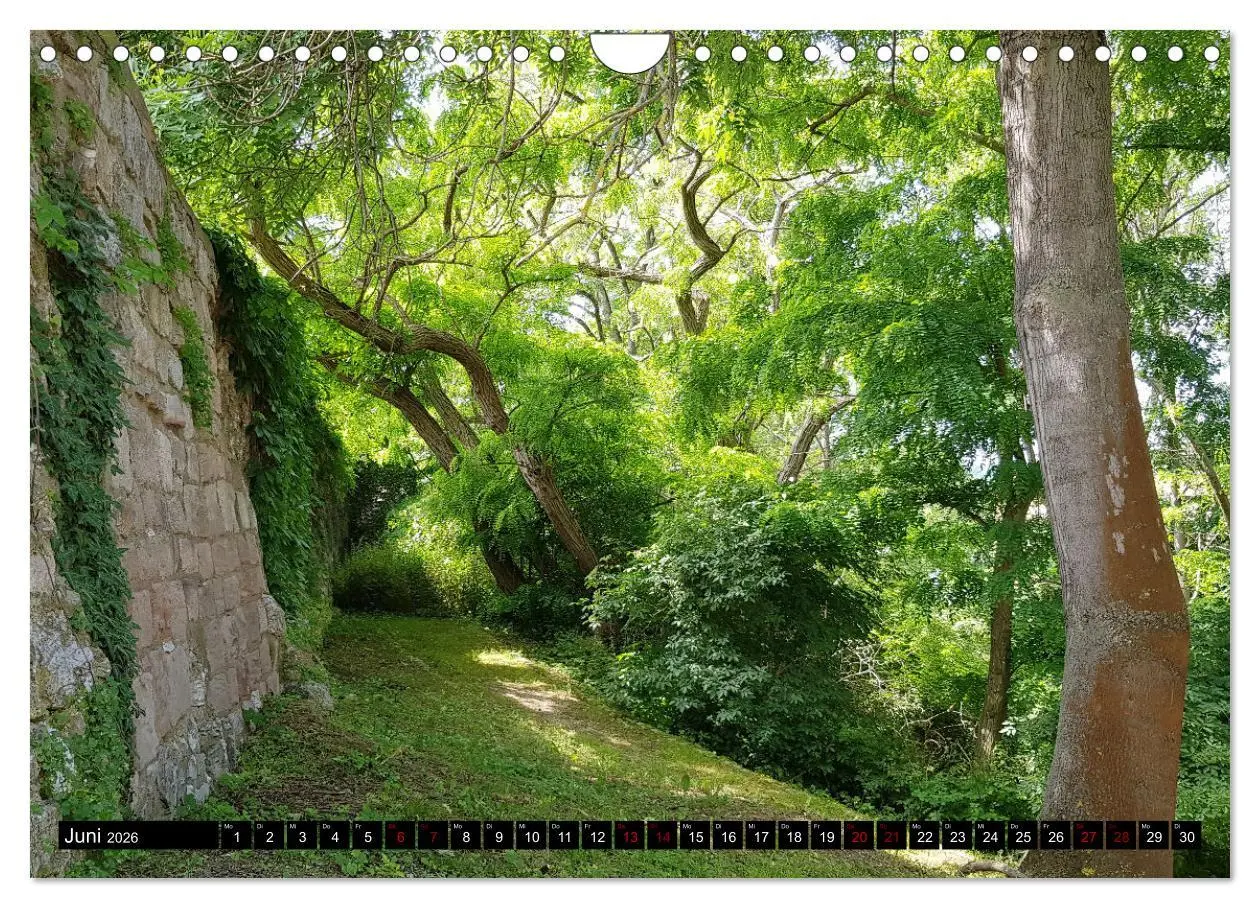 Bild: 9783457630334 | Kyffhäuser-Land Stille Landschaften - Geheimnisvolle Orte...