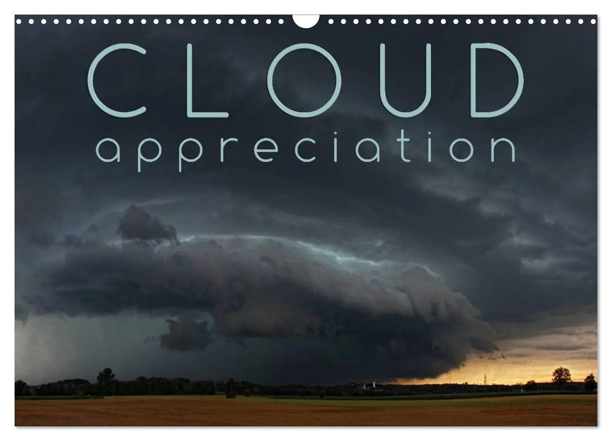 Cover: 9783516580334 | Cloud Appreciation (Wall Calendar 2026 DIN A3 landscape), CALVENDO...