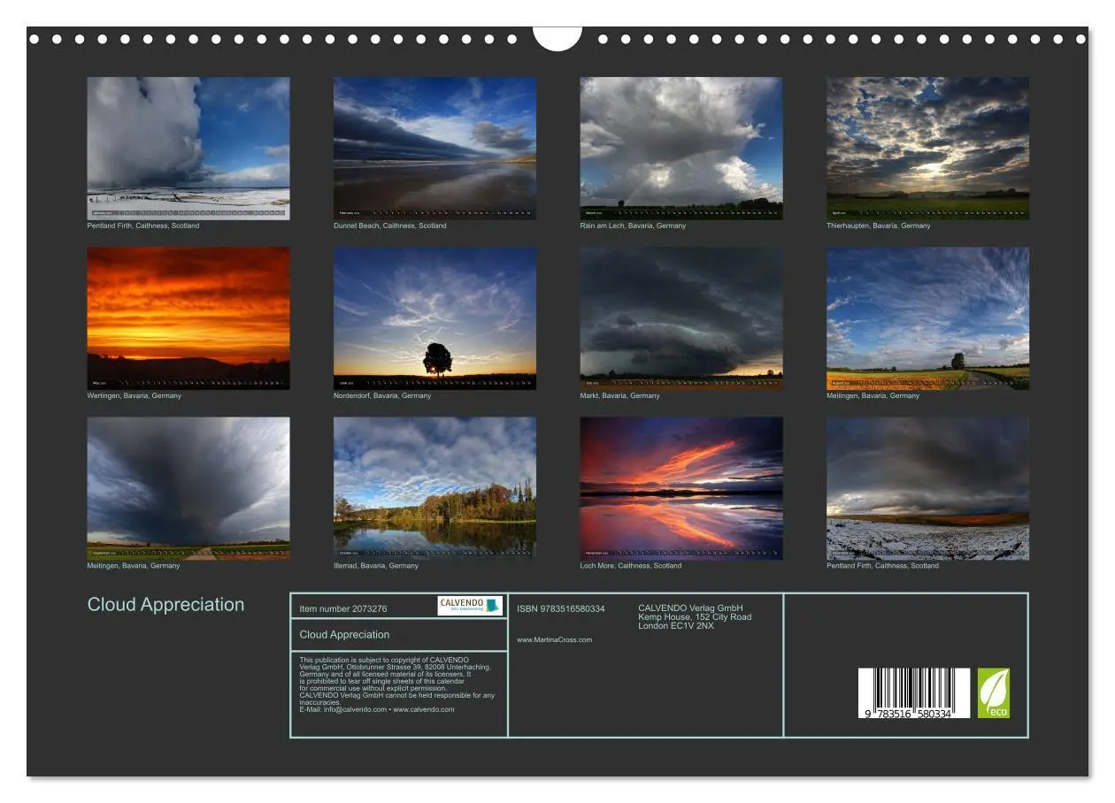 Bild: 9783516580334 | Cloud Appreciation (Wall Calendar 2026 DIN A3 landscape), CALVENDO...