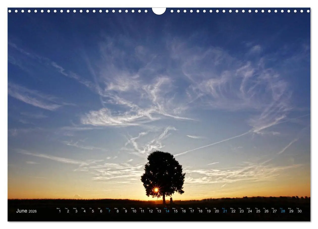 Bild: 9783516580334 | Cloud Appreciation (Wall Calendar 2026 DIN A3 landscape), CALVENDO...