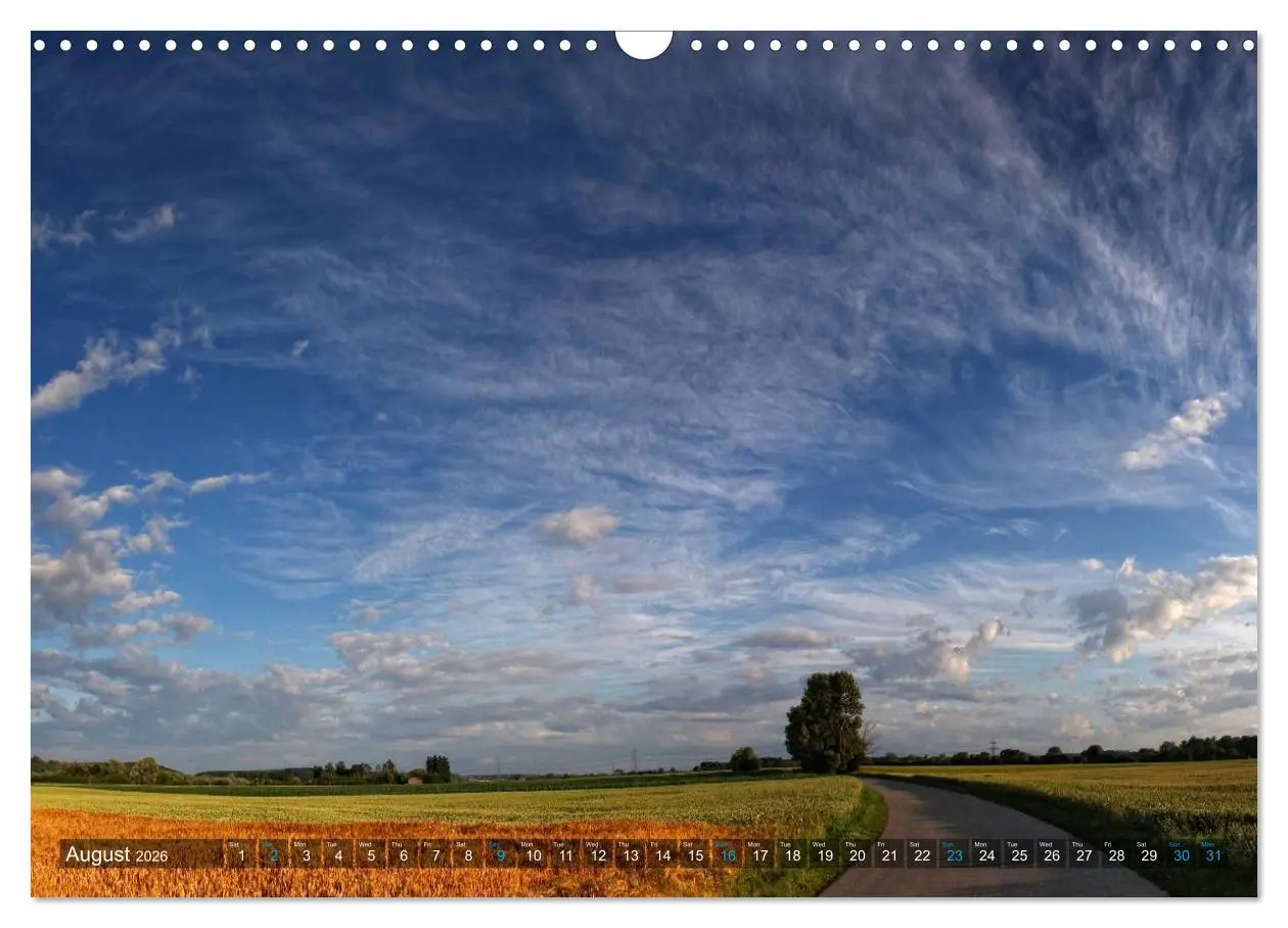 Bild: 9783516580334 | Cloud Appreciation (Wall Calendar 2026 DIN A3 landscape), CALVENDO...