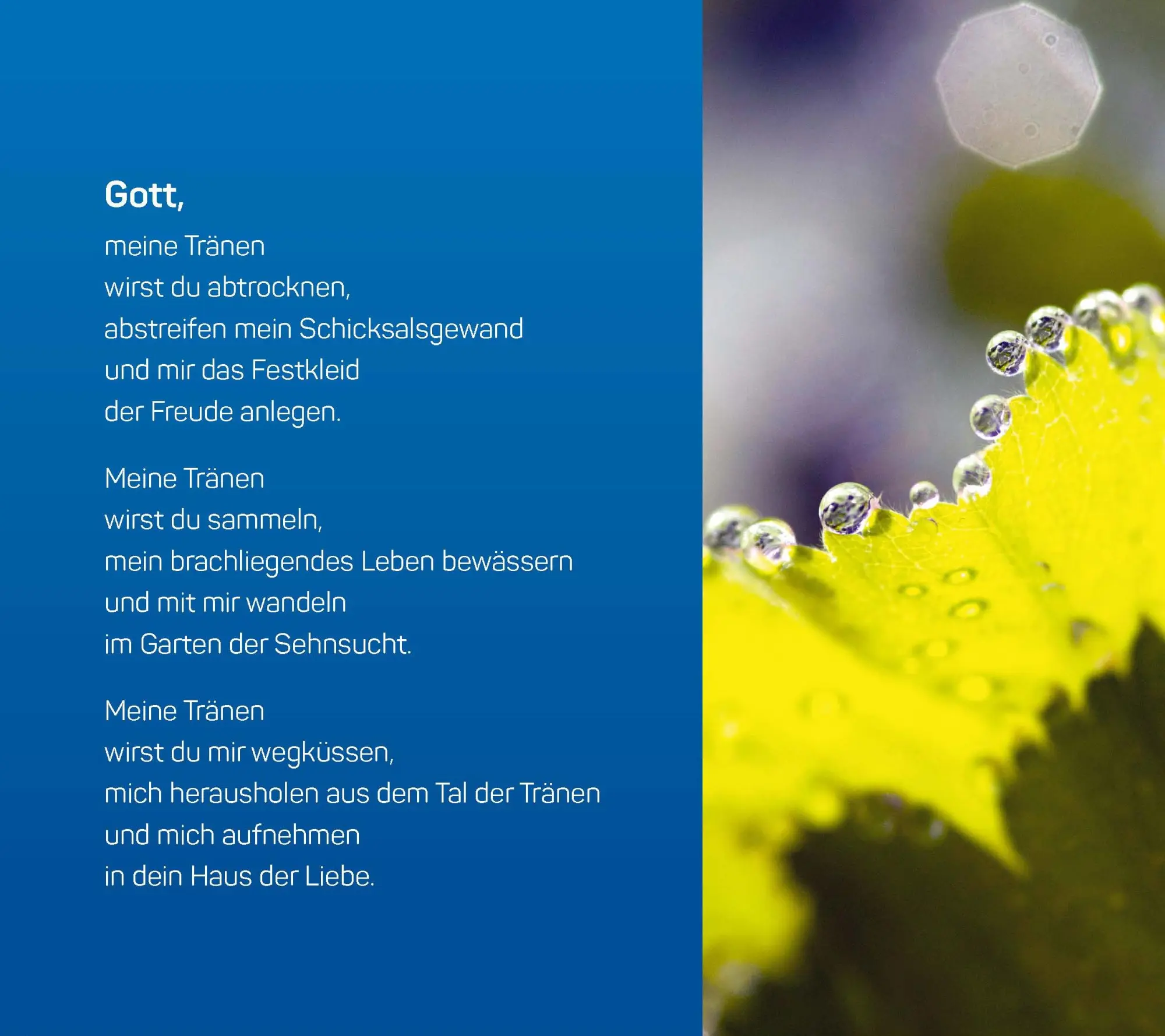 Bild: 9783736500334 | Trauerzeit - Perlenzeit | Rita Schäfer | Buch | 62 S. | Deutsch | 2016