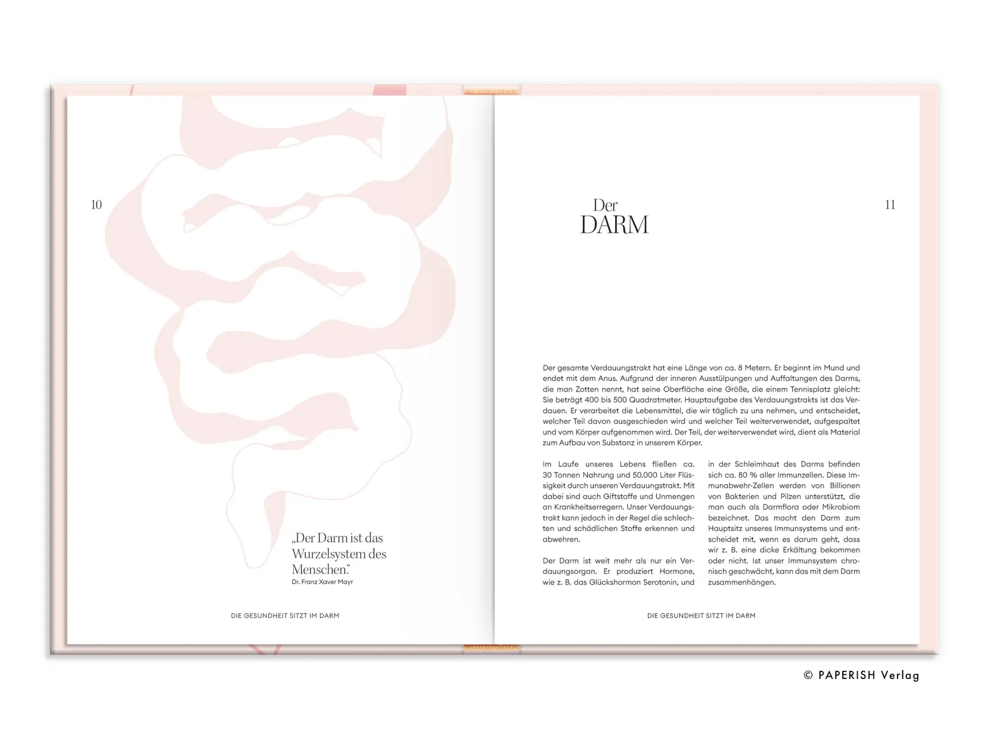 Bild: 9783968950334 | Ein Bauch voller Gesundheit | Tasty Katy | Buch | 246 S. | Deutsch