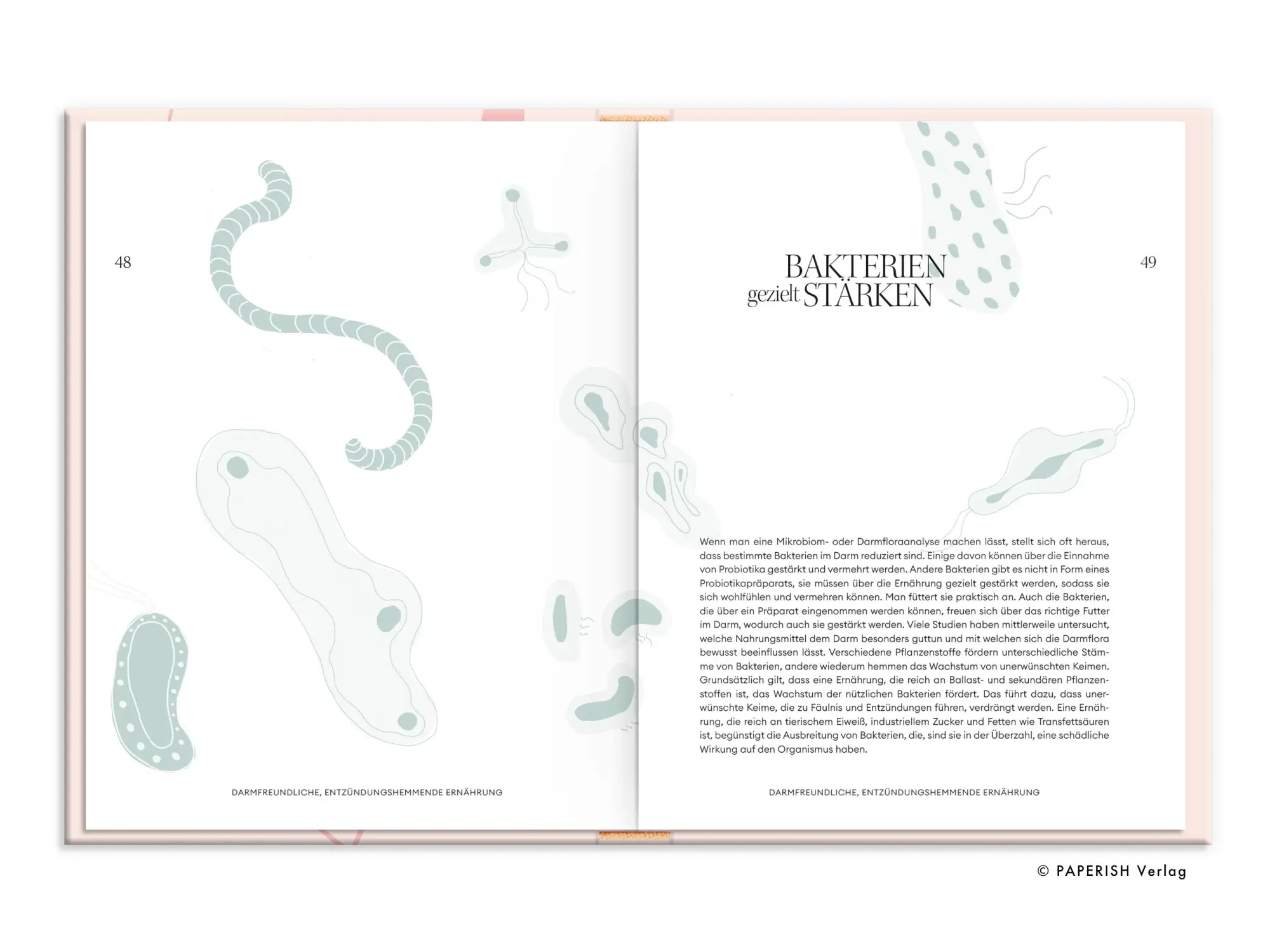 Bild: 9783968950334 | Ein Bauch voller Gesundheit | Tasty Katy | Buch | 246 S. | Deutsch