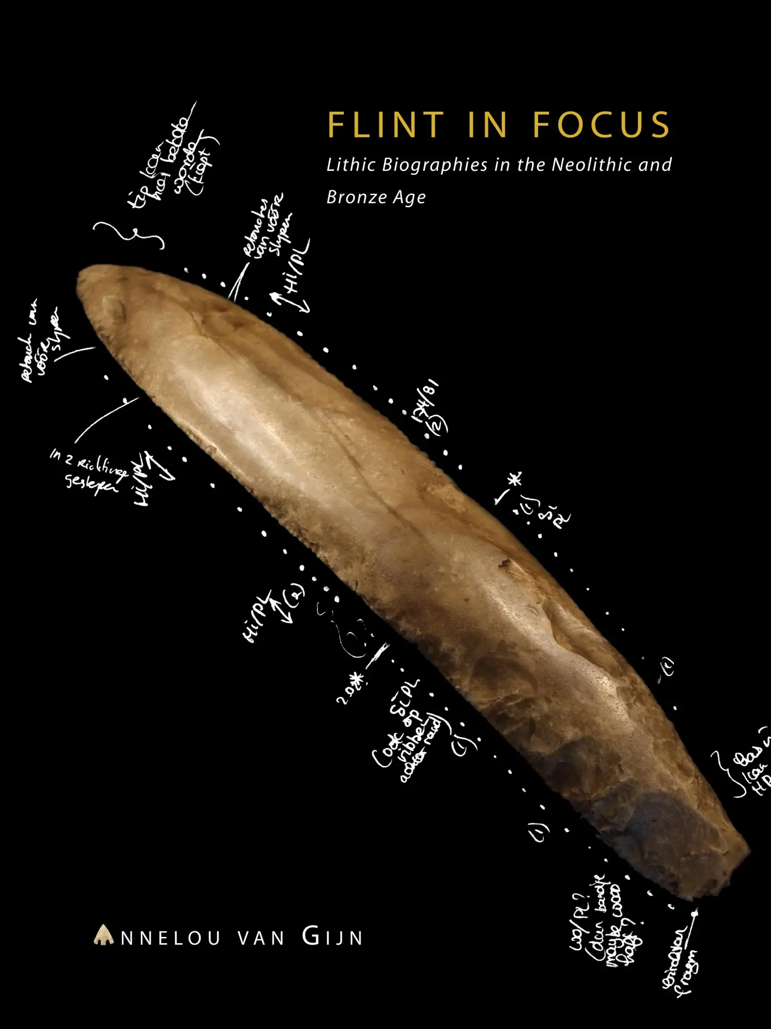 Cover: 9789088900334 | Flint in Focus | Annelou van Gijn | Taschenbuch | Englisch | 2010